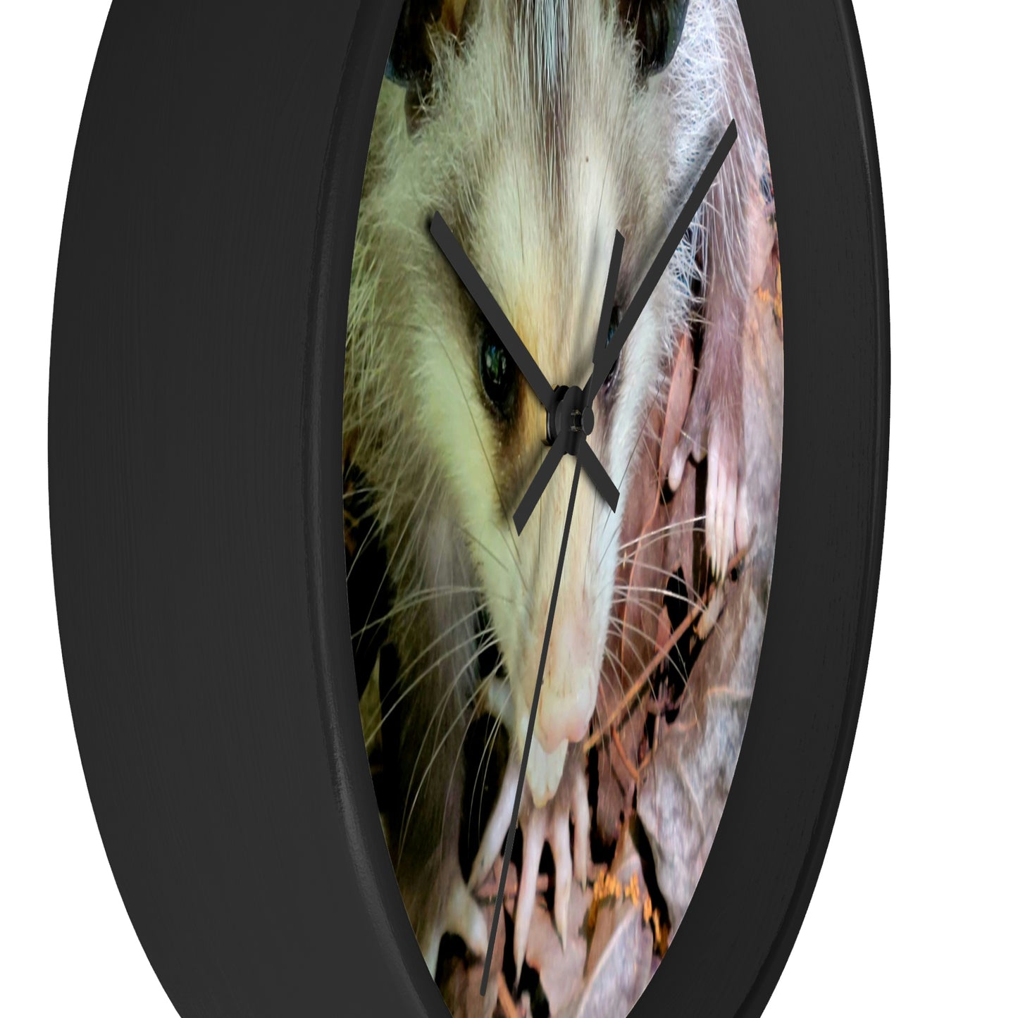 Kisatchie Opossum Wall Clocks