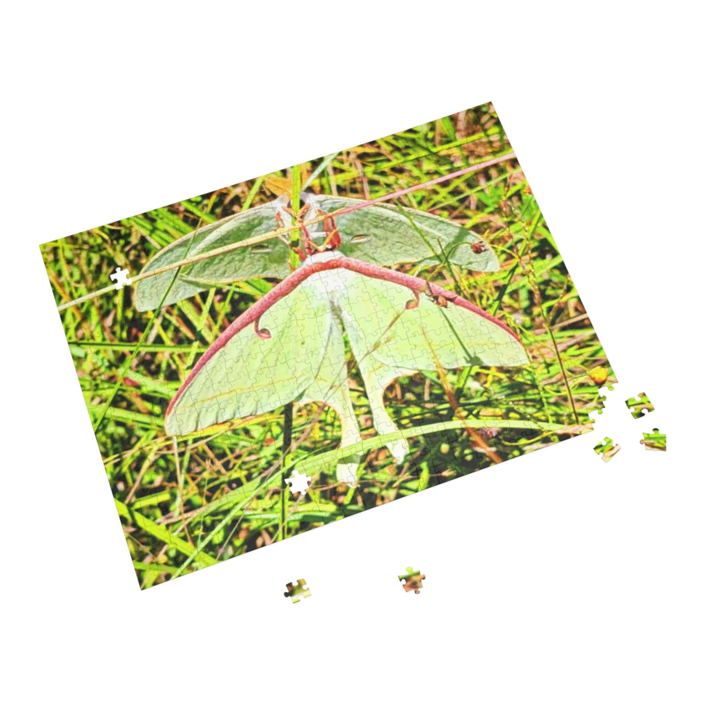 Luna Moths Puzzles