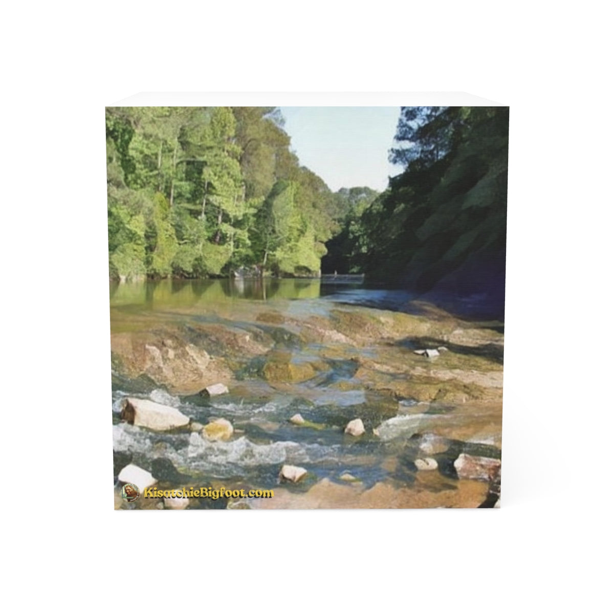 Kisatchie Bayou Note Cube