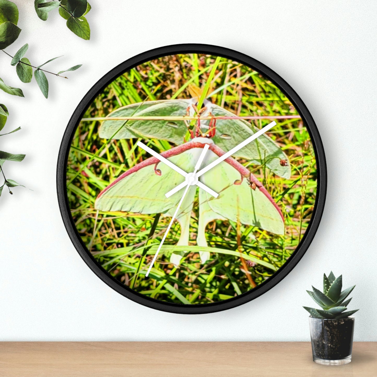 Luna Moths of Kisatchie Wall Clocks