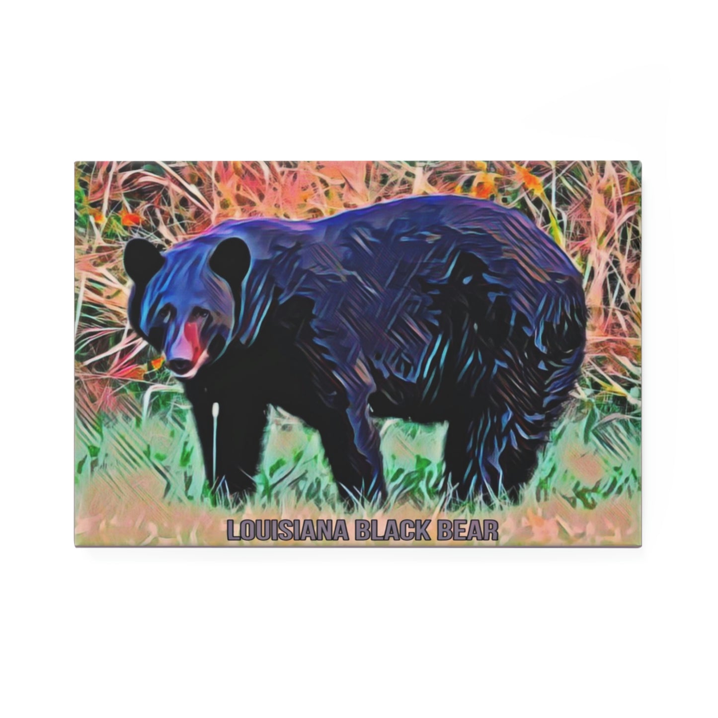 Louisiana Black Bear Magnets