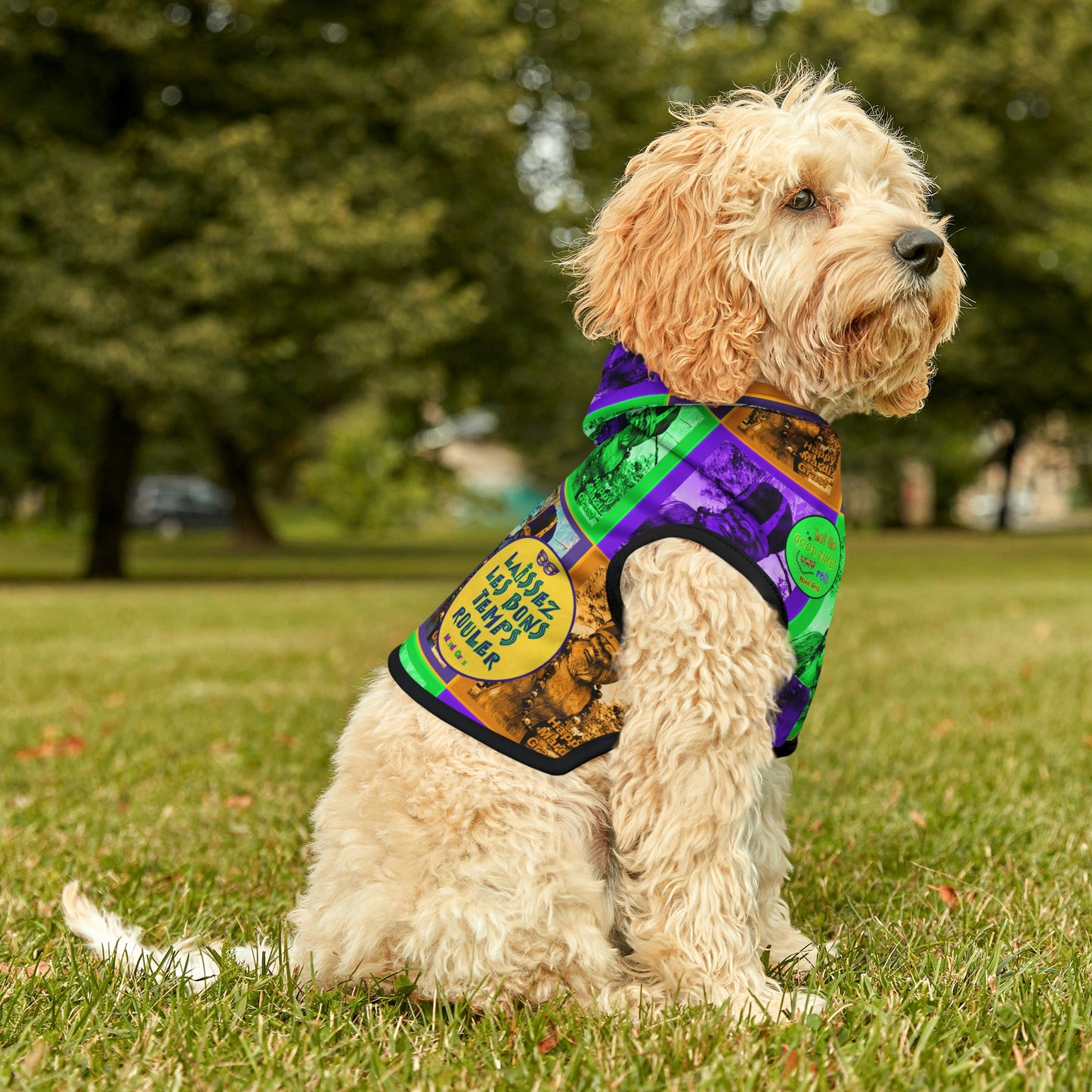 Bigfoot Mardi Gras Dog Hoodie