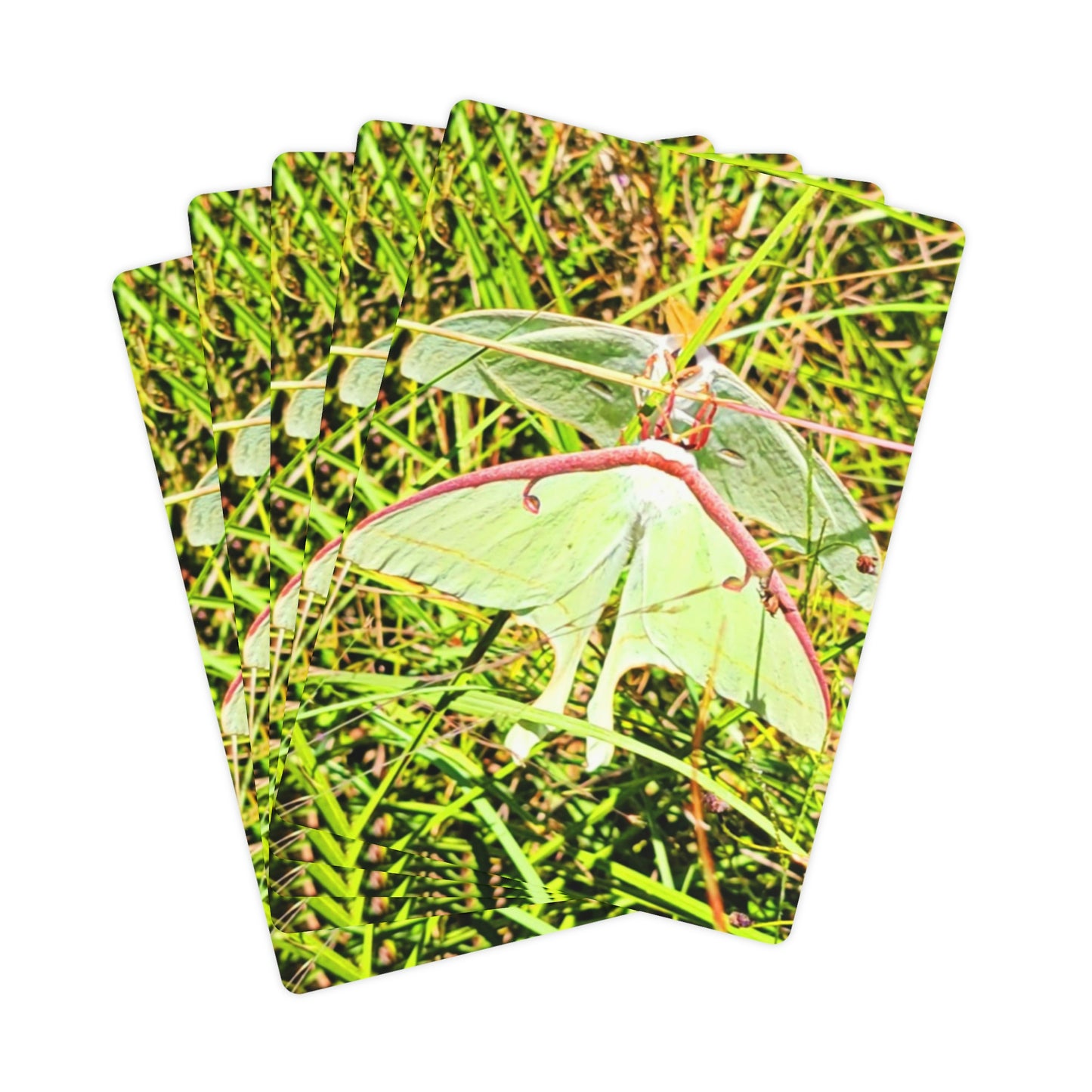 Luna Moths Playing Cards