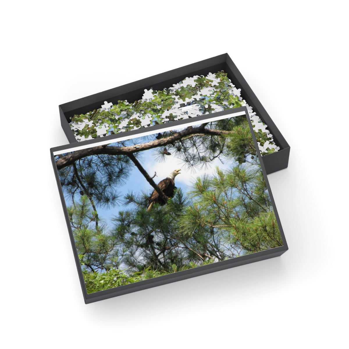 Kincaid Lake Eagle Puzzle (4 Sizes)