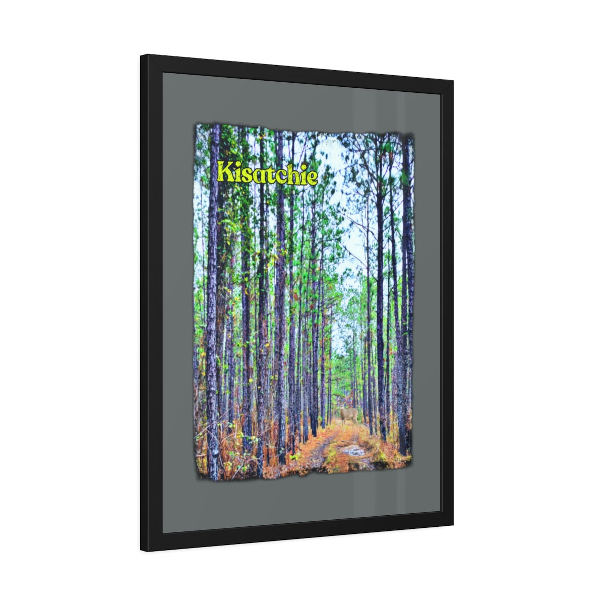 Framed Kisatchie Paper Posters