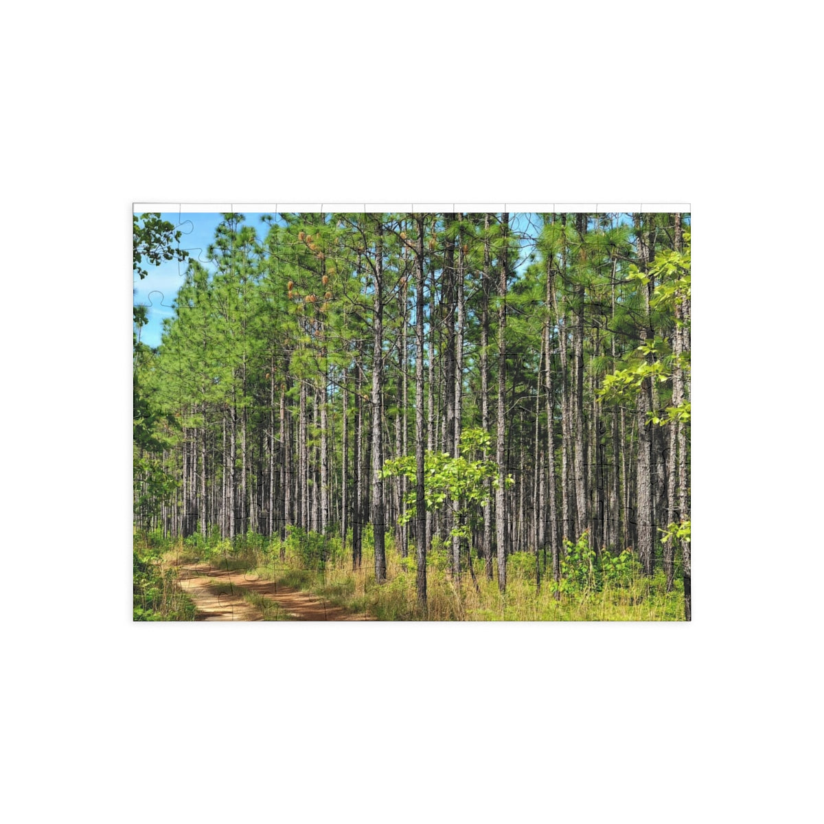 Kisatchie Pines Puzzle (4 Sizes)