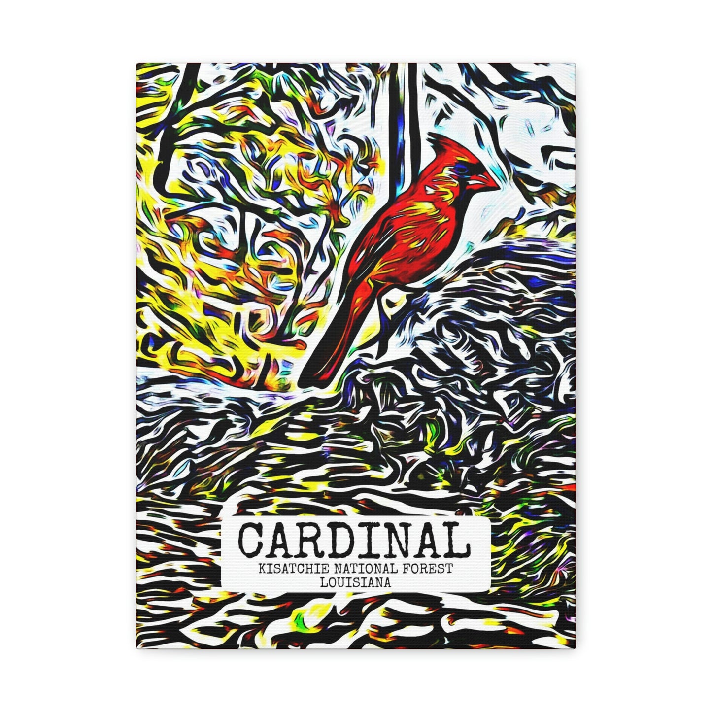 Cardinal in Kisatchie Canvas Gallery Wraps