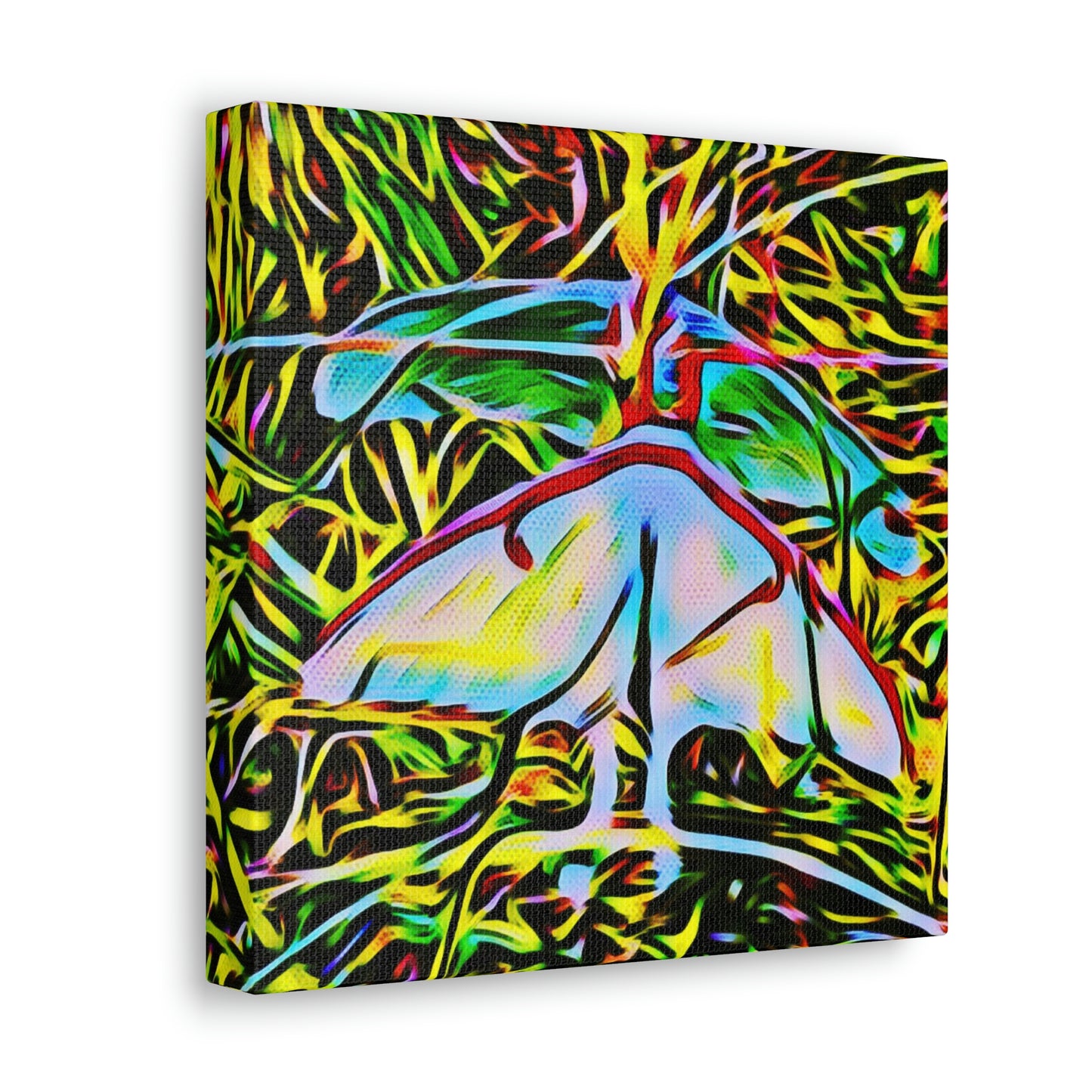 Luna Moths Canvas Gallery Wraps