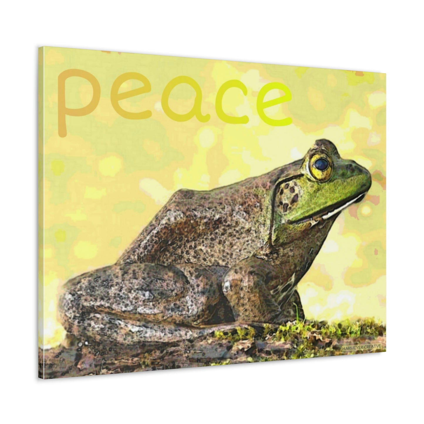 Kisatchie Bullfrog Canvas Gallery Wraps