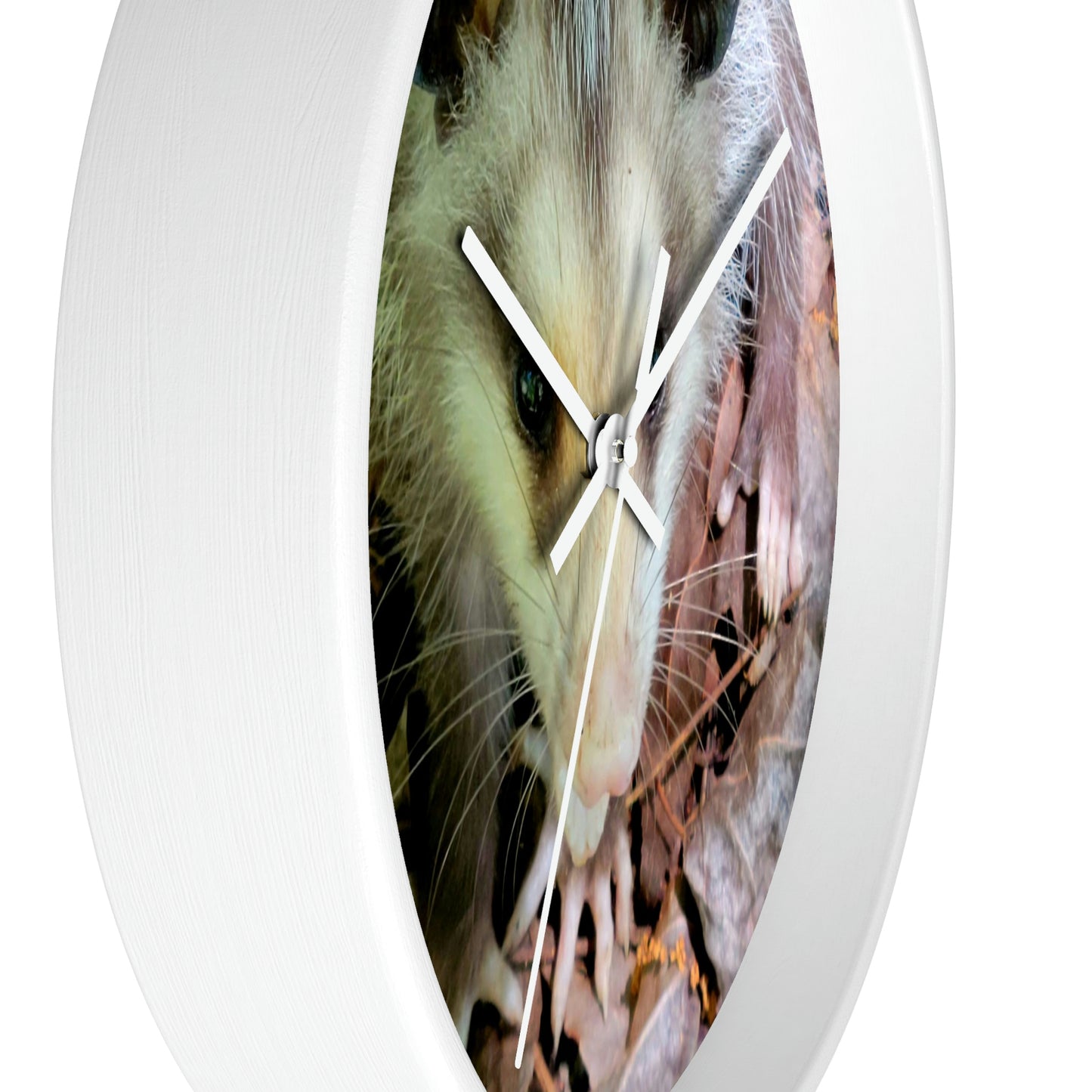 Kisatchie Opossum Wall Clocks