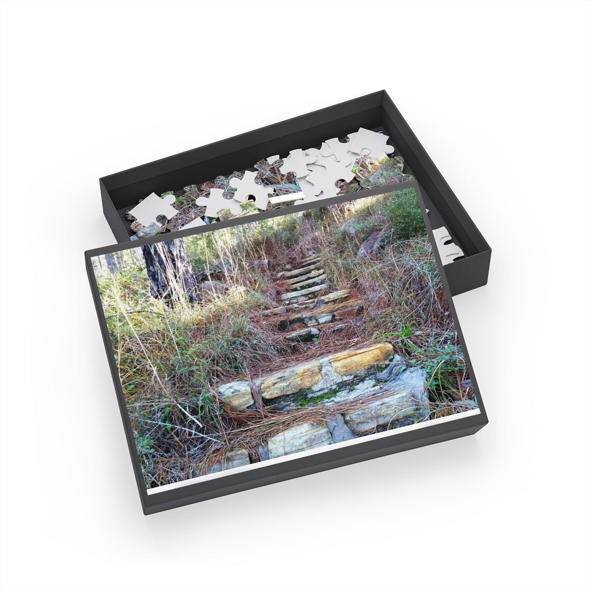 Longleaf Vista Trail Puzzle (4 Sizes)