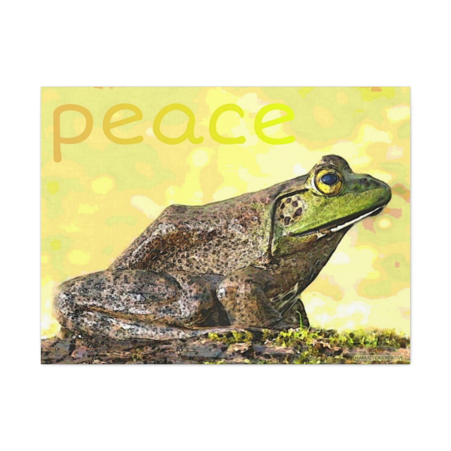 Kisatchie Bullfrog Canvas Gallery Wraps