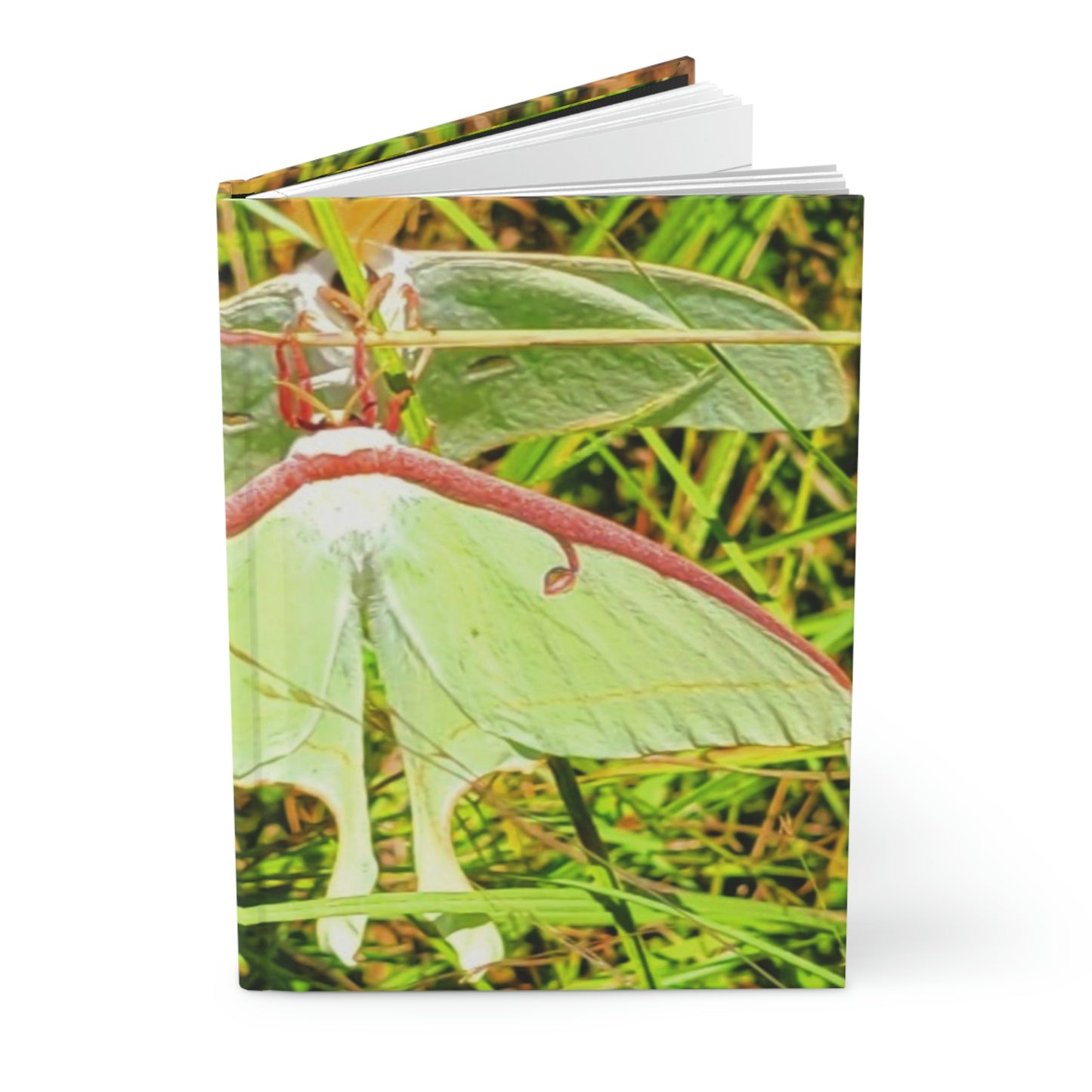 Luna Moths Hardcover Journal