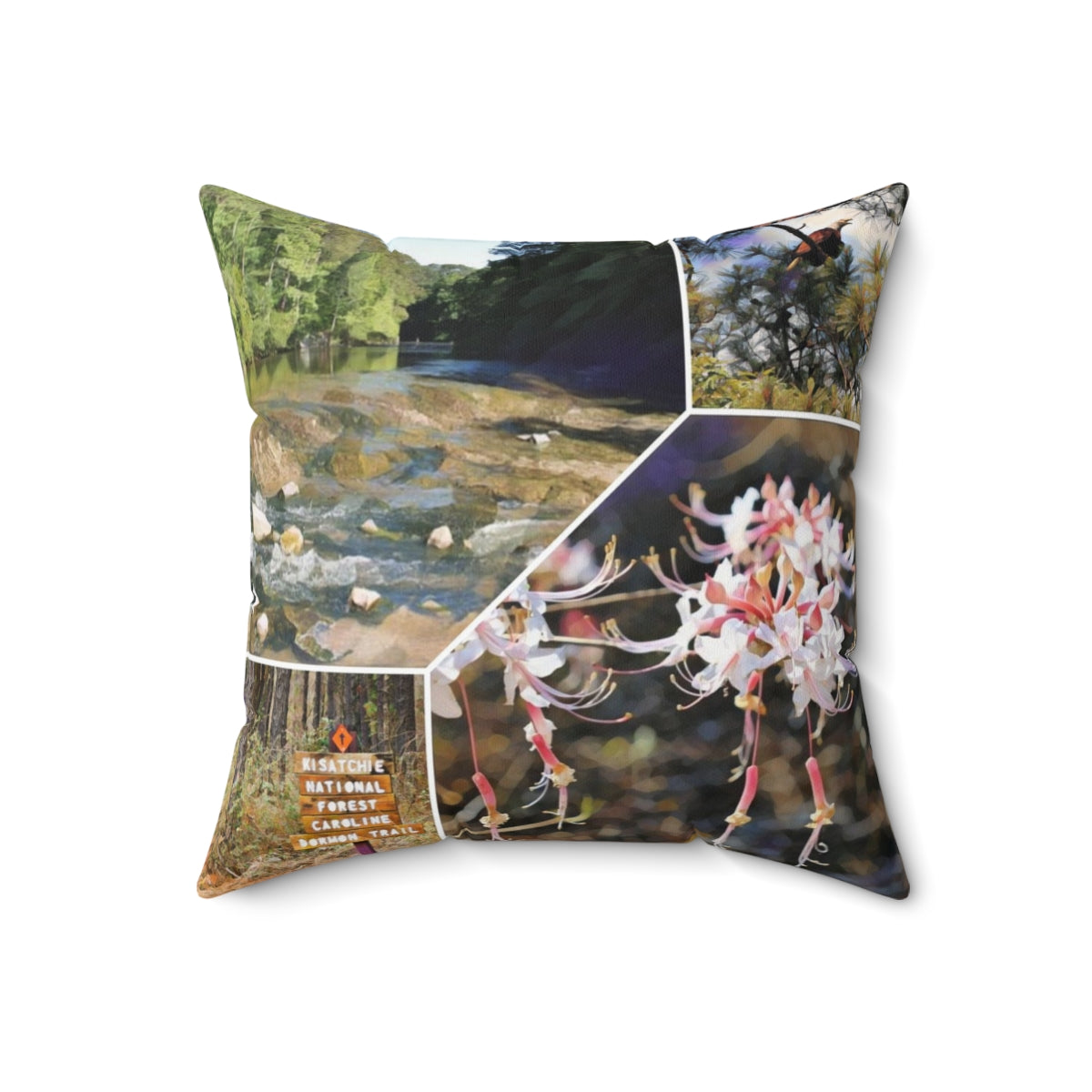 Kisatchie National Forest Square Pillow