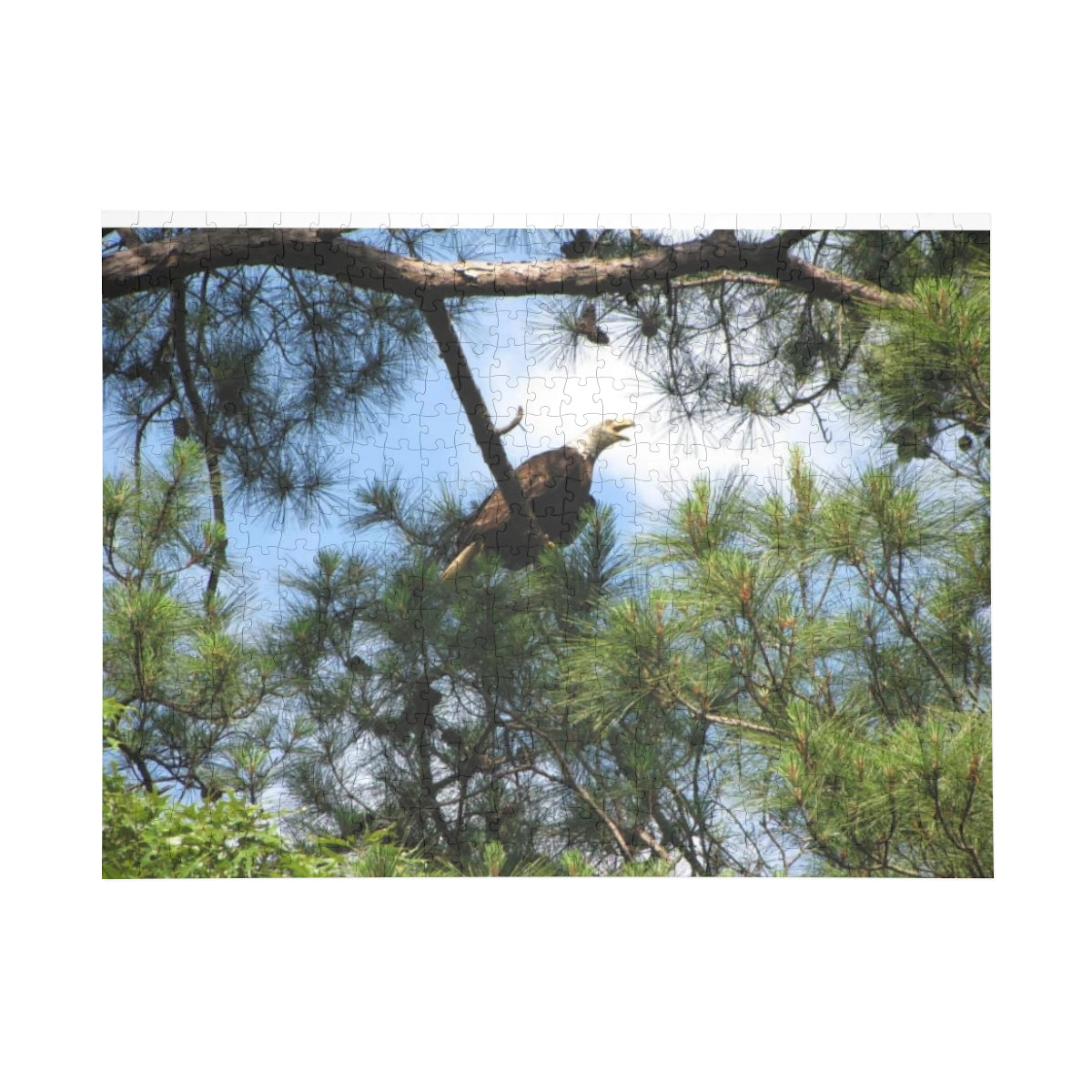 Kincaid Lake Eagle Puzzle (4 Sizes)