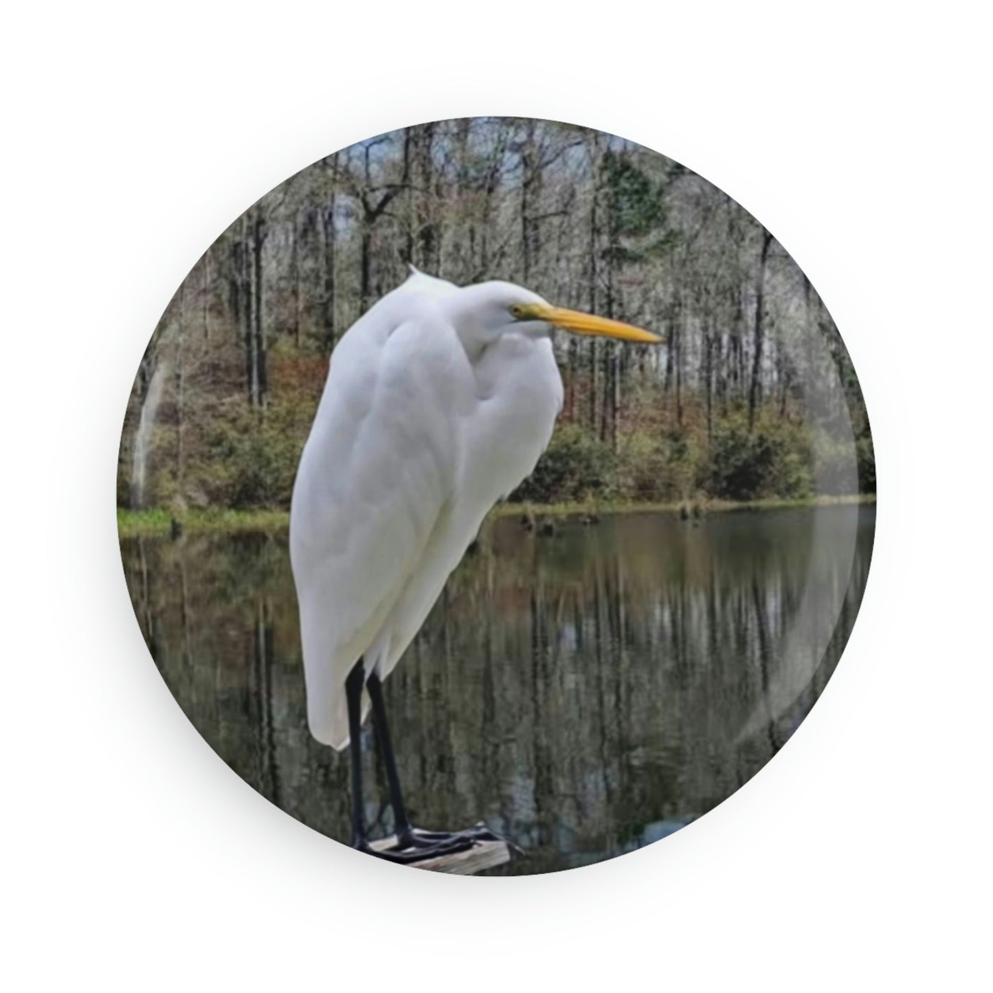 Egret Magnets