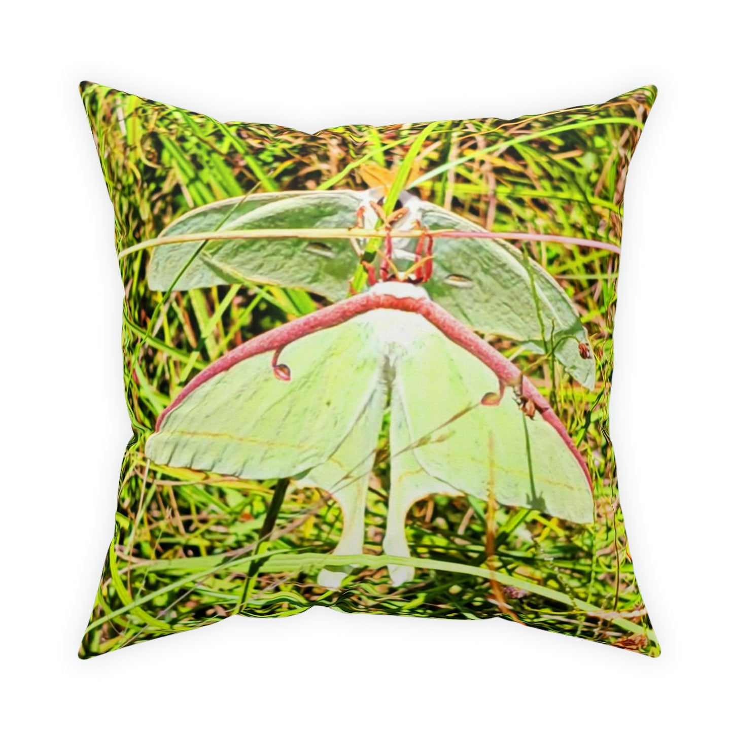 Luna Moths Broadcloth Pillow