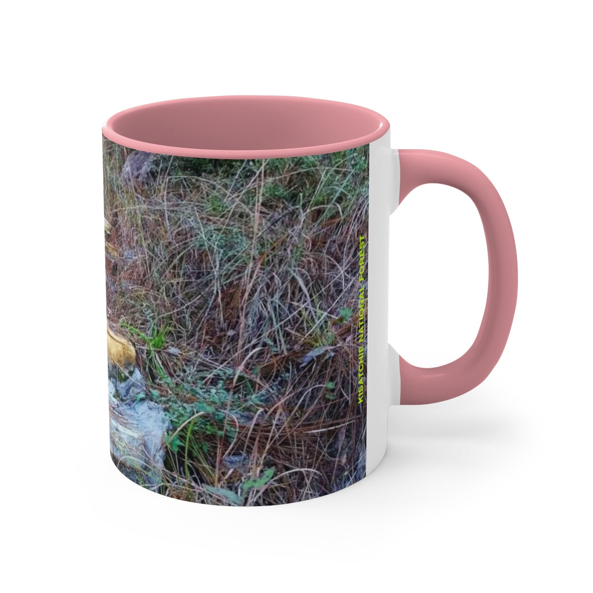 Longleaf Vista Coffee Mug