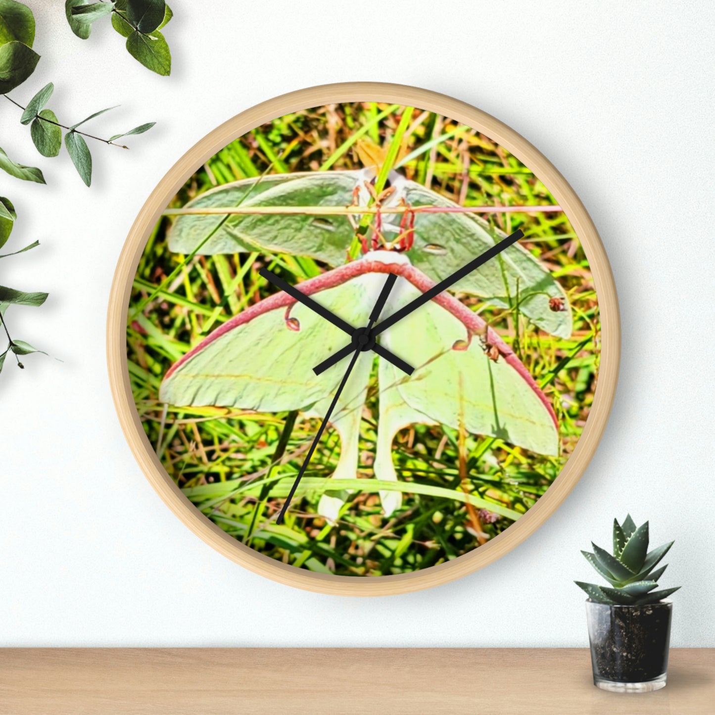 Luna Moths of Kisatchie Wall Clocks