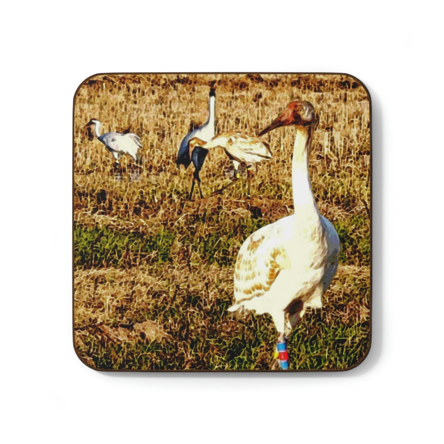 Louisiana Whooping Cranes Hardboard Back Coaster