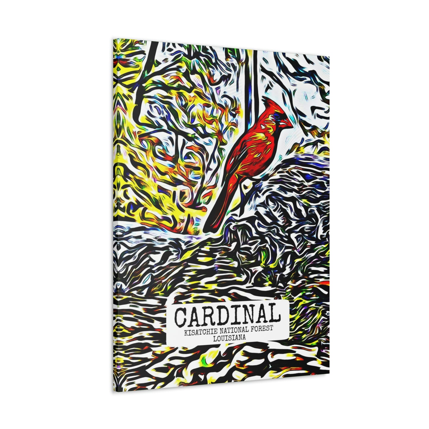 Cardinal in Kisatchie Canvas Gallery Wraps