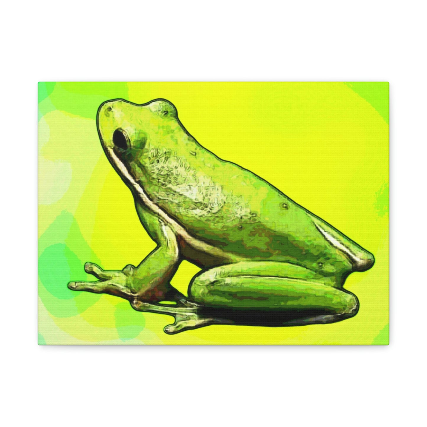 Tree Frog Canvas Gallery Wraps