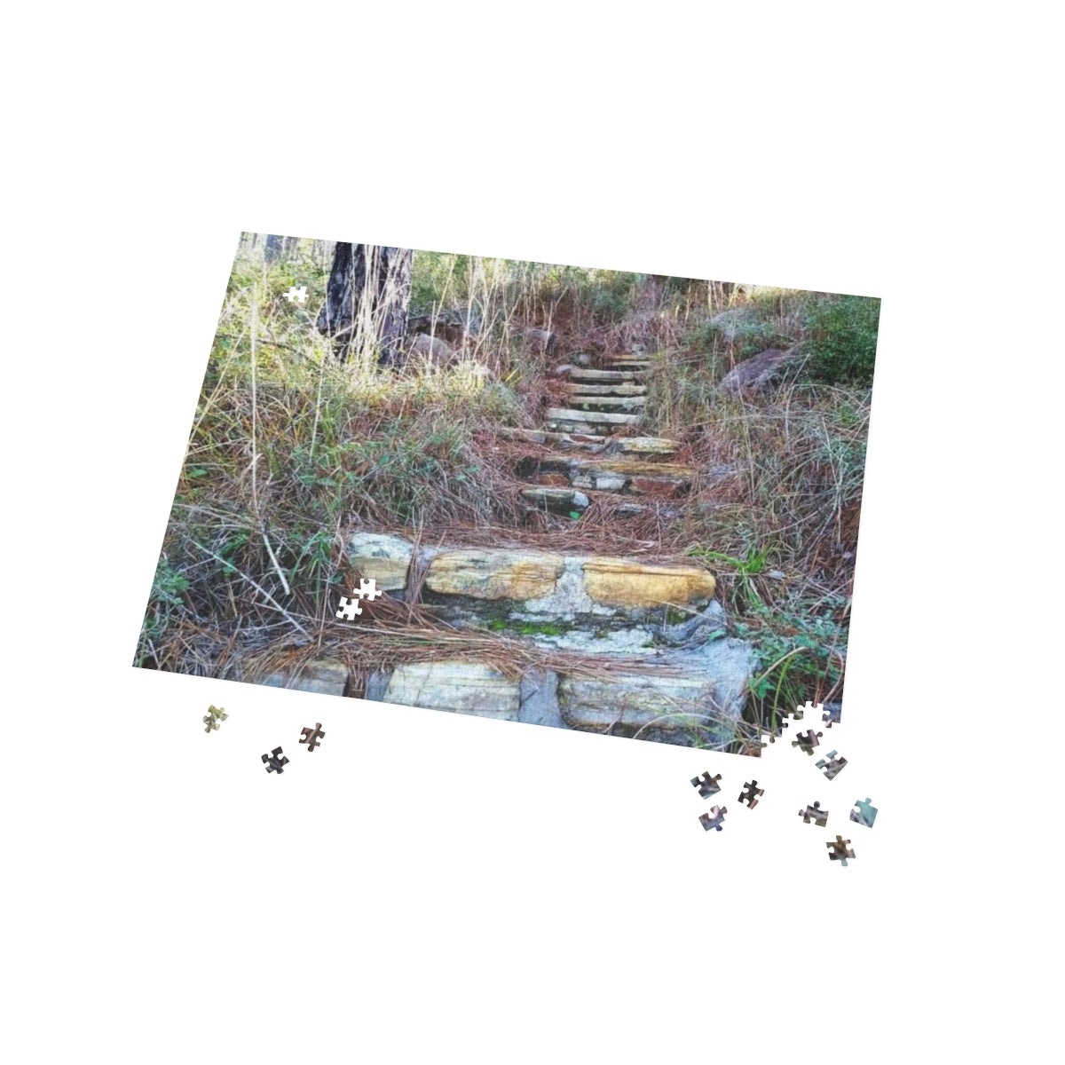 Longleaf Vista Trail Puzzle (4 Sizes)