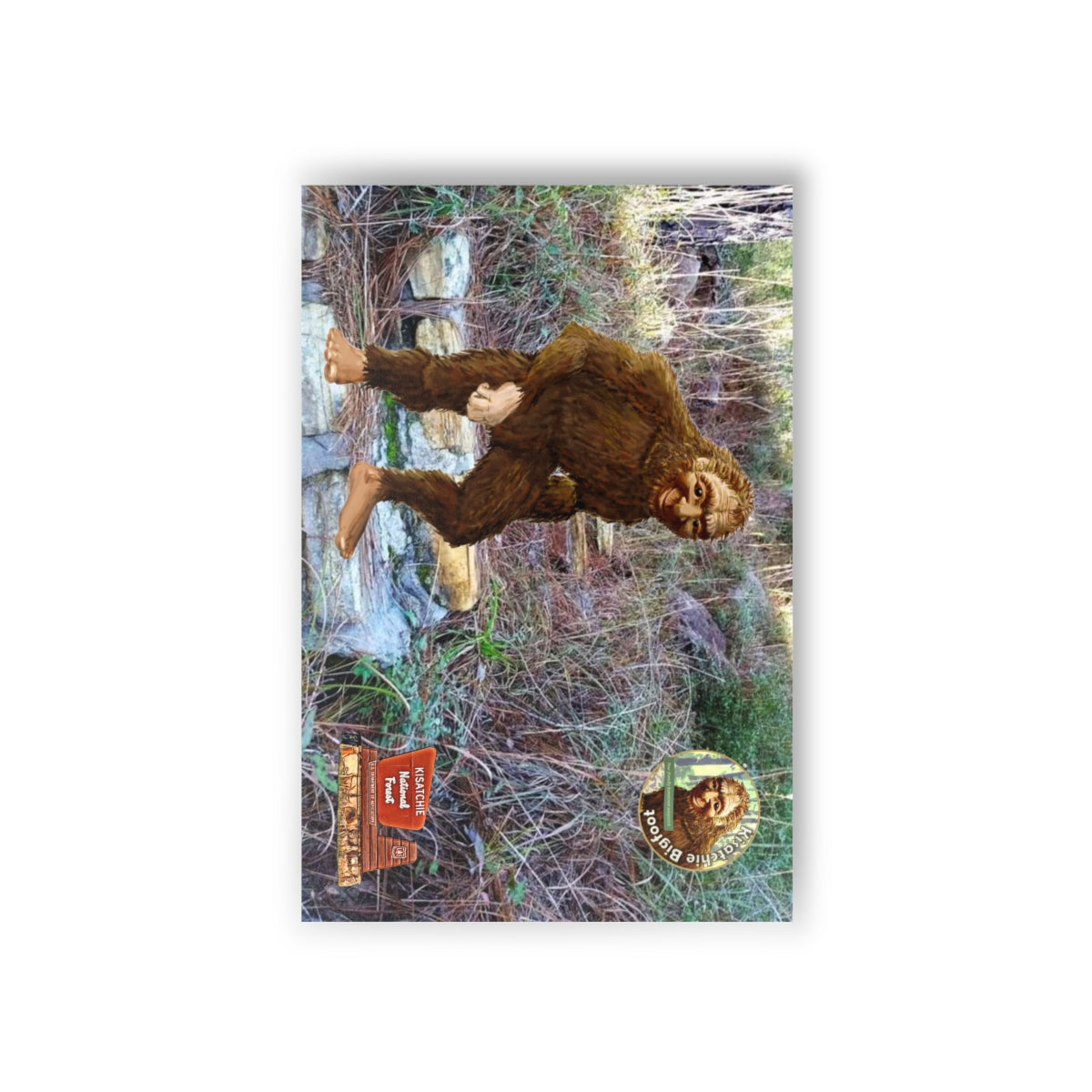 Kisatchie Bigfoot Postcards (10pcs)