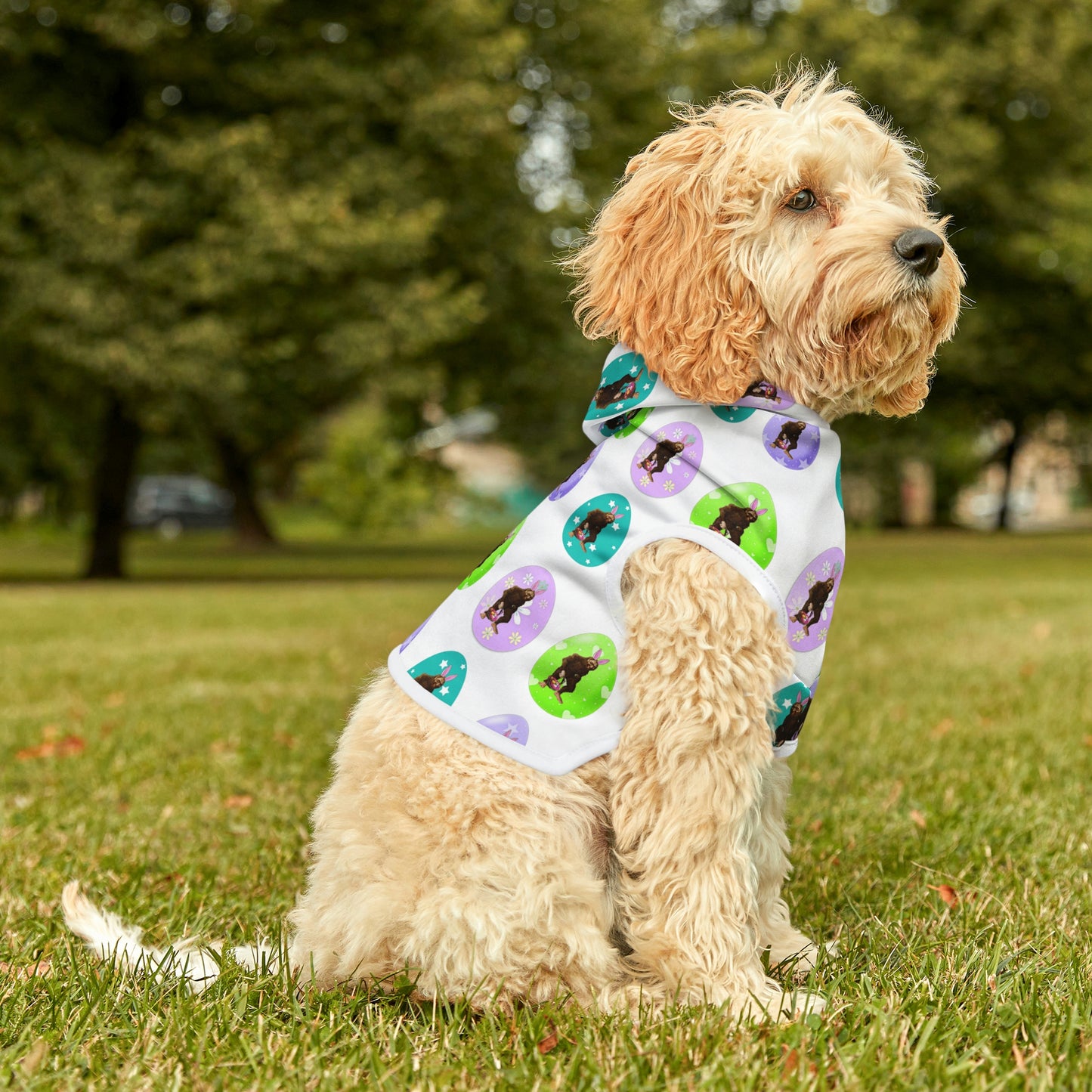 Bigfoot Easter Dog Hoodie