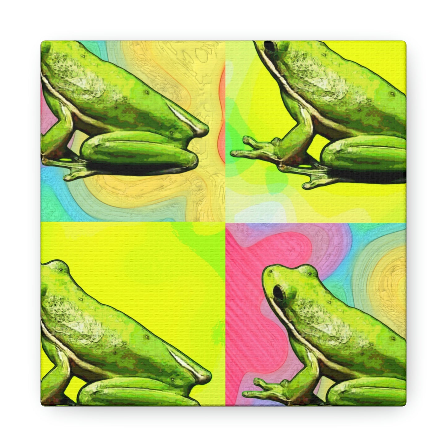 Tree Frog Canvas Gallery Wraps