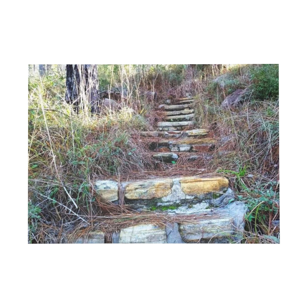 Longleaf Vista Trail Puzzle (4 Sizes)