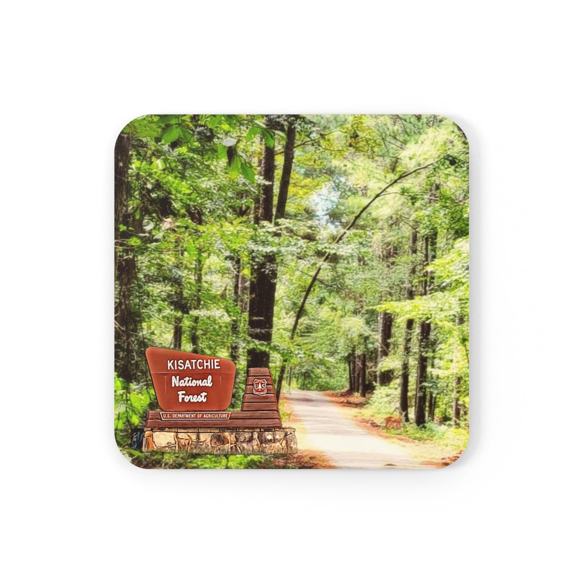 Kisatchie National Forest Coaster Set