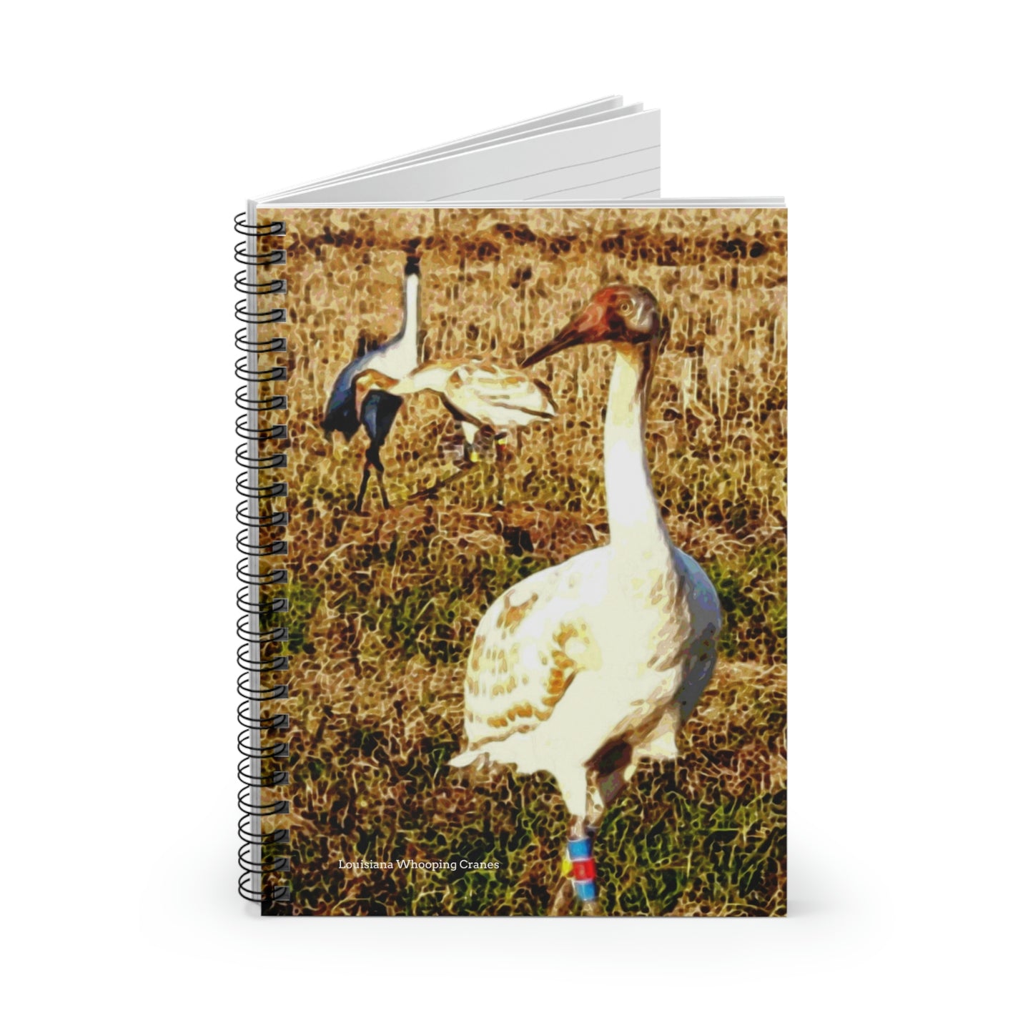 Louisiana Whooping Cranes Spiral Notebook