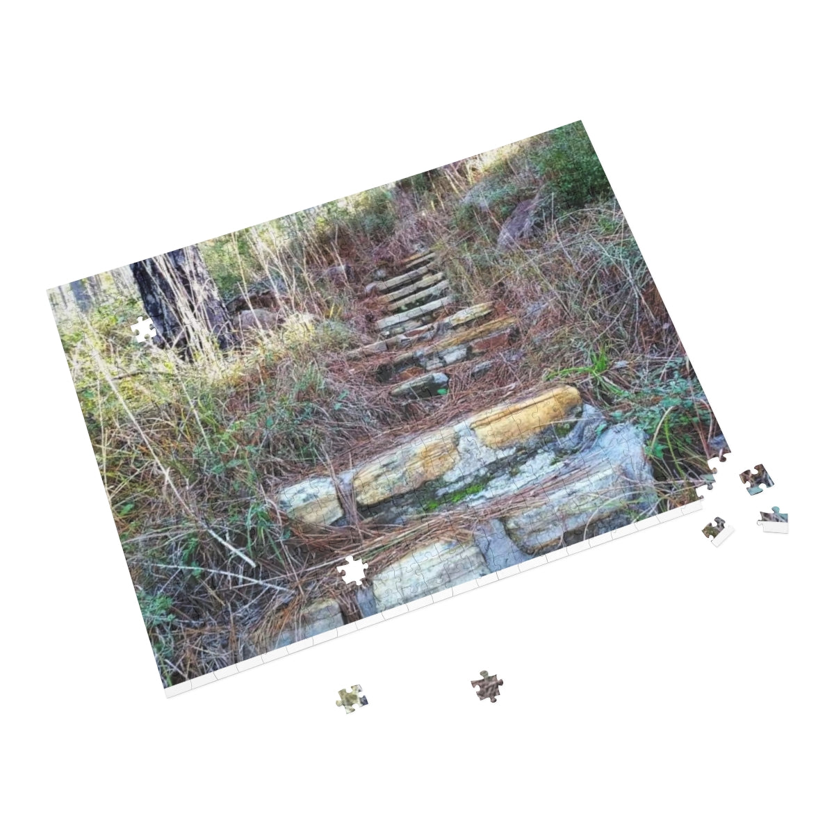 Longleaf Vista Trail Puzzle (4 Sizes)