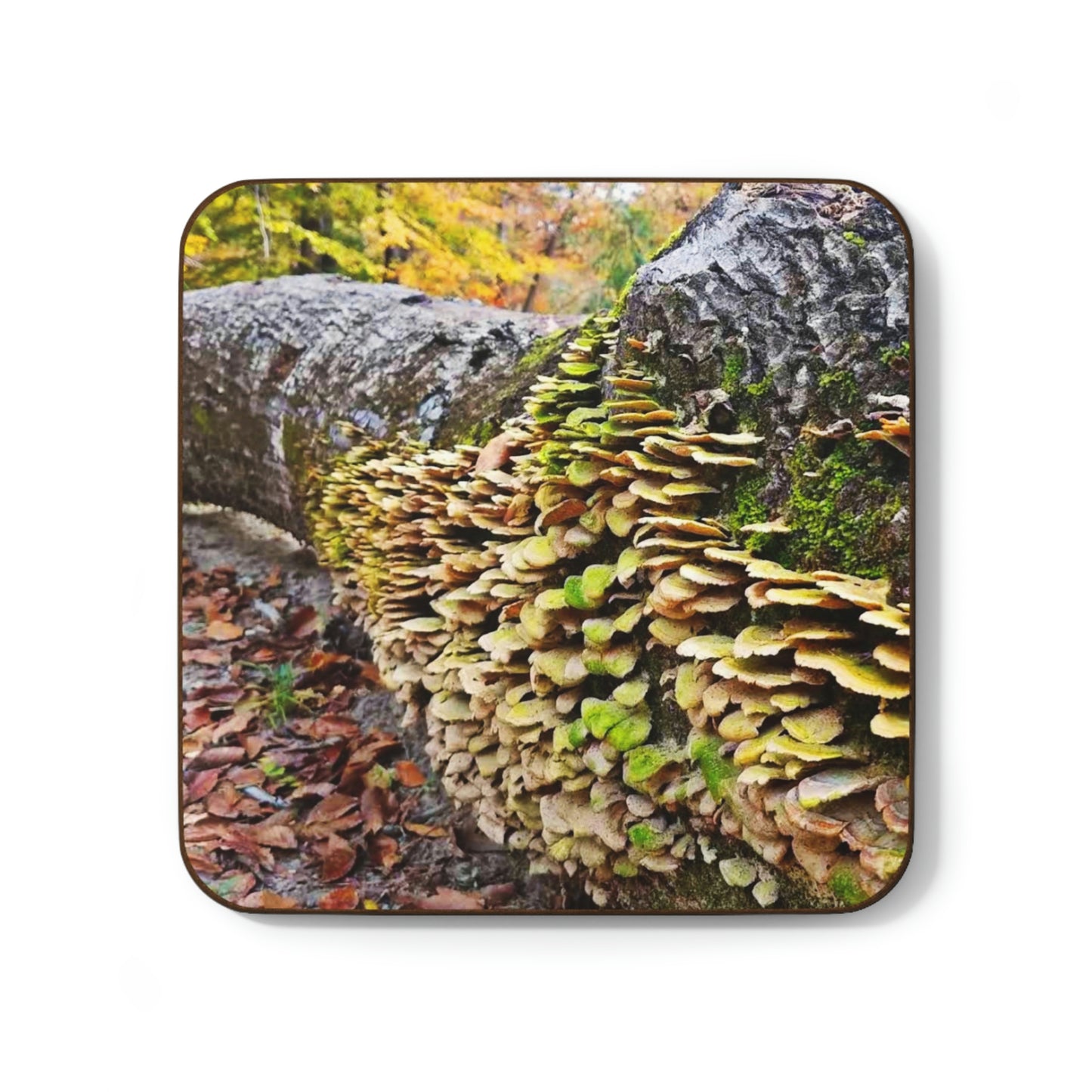 Kisatchie Fungi Hardboard Back Coaster