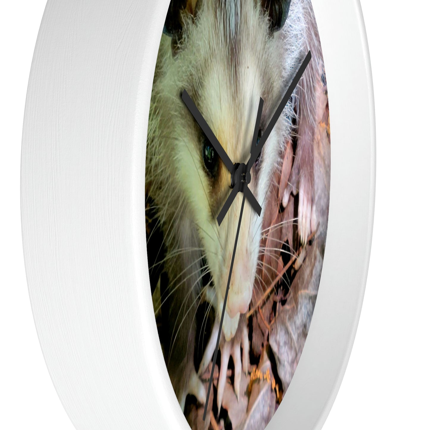 Kisatchie Opossum Wall Clocks