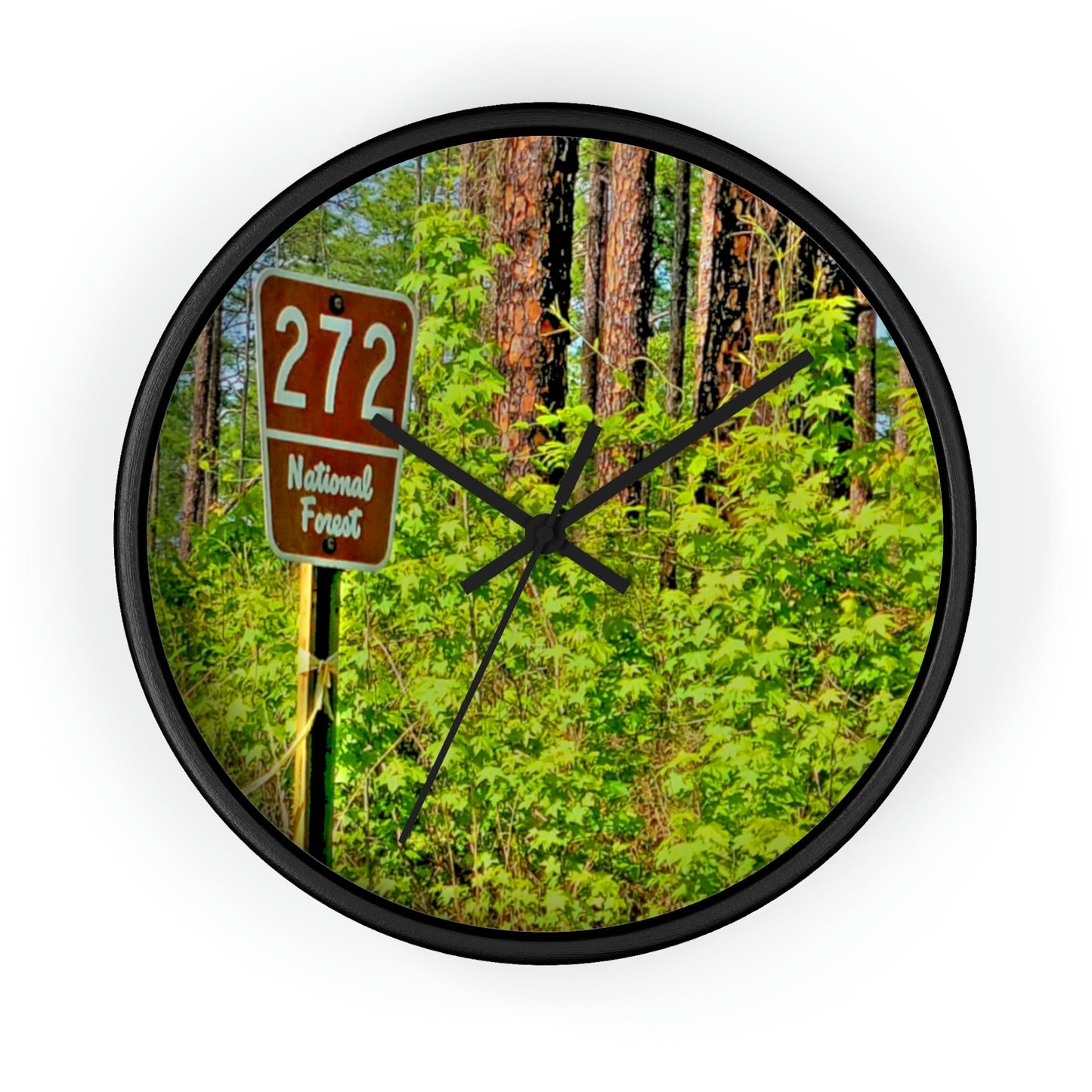 Kisatchie National Forest Wall Clocks