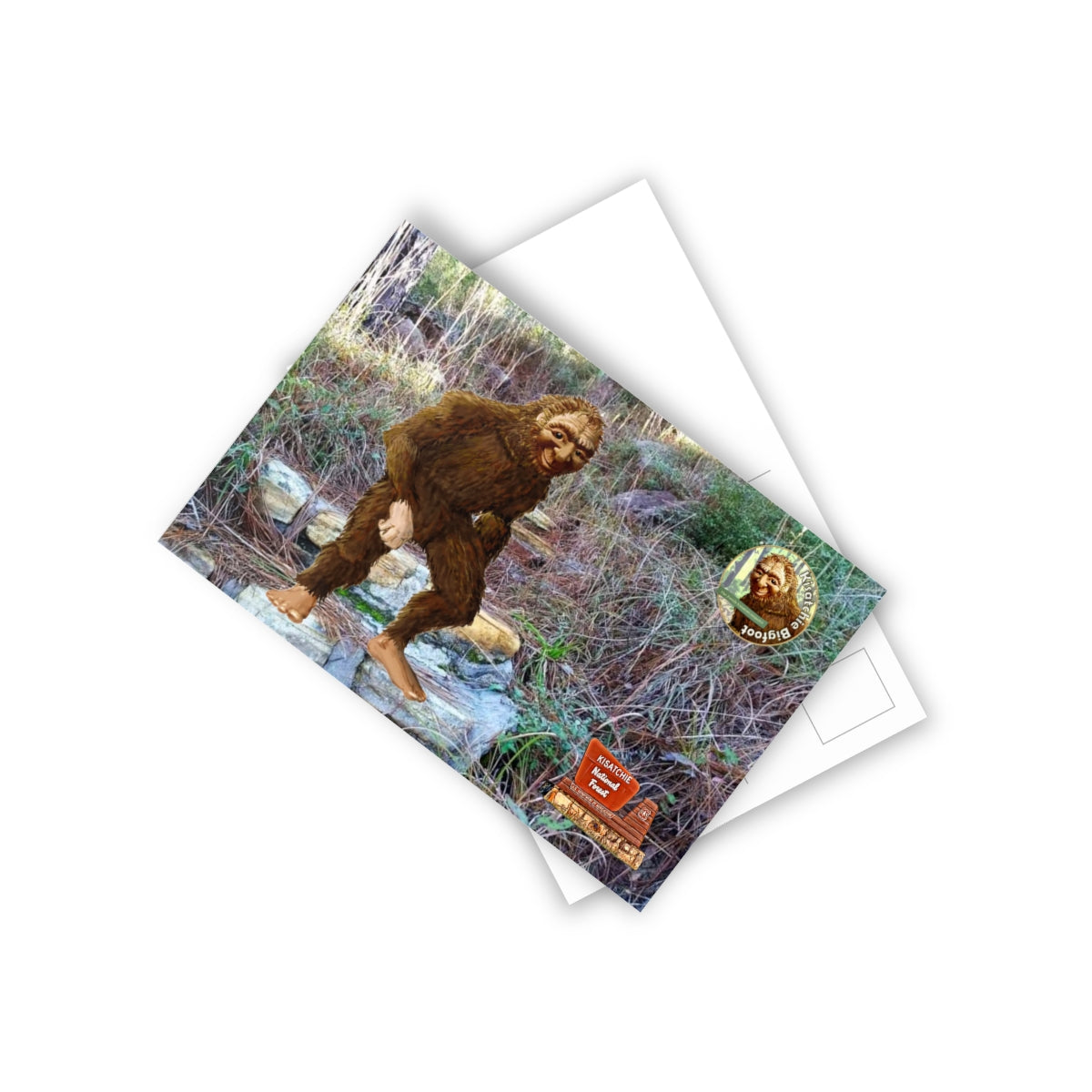 Kisatchie Bigfoot Postcards (10pcs)