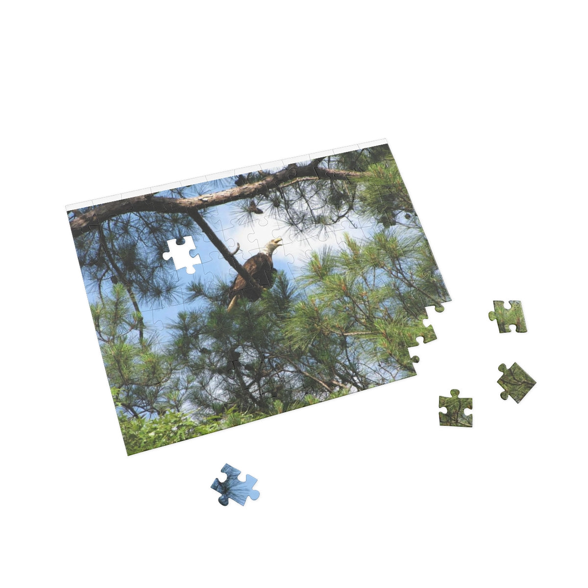 Kincaid Lake Eagle Puzzle (4 Sizes)