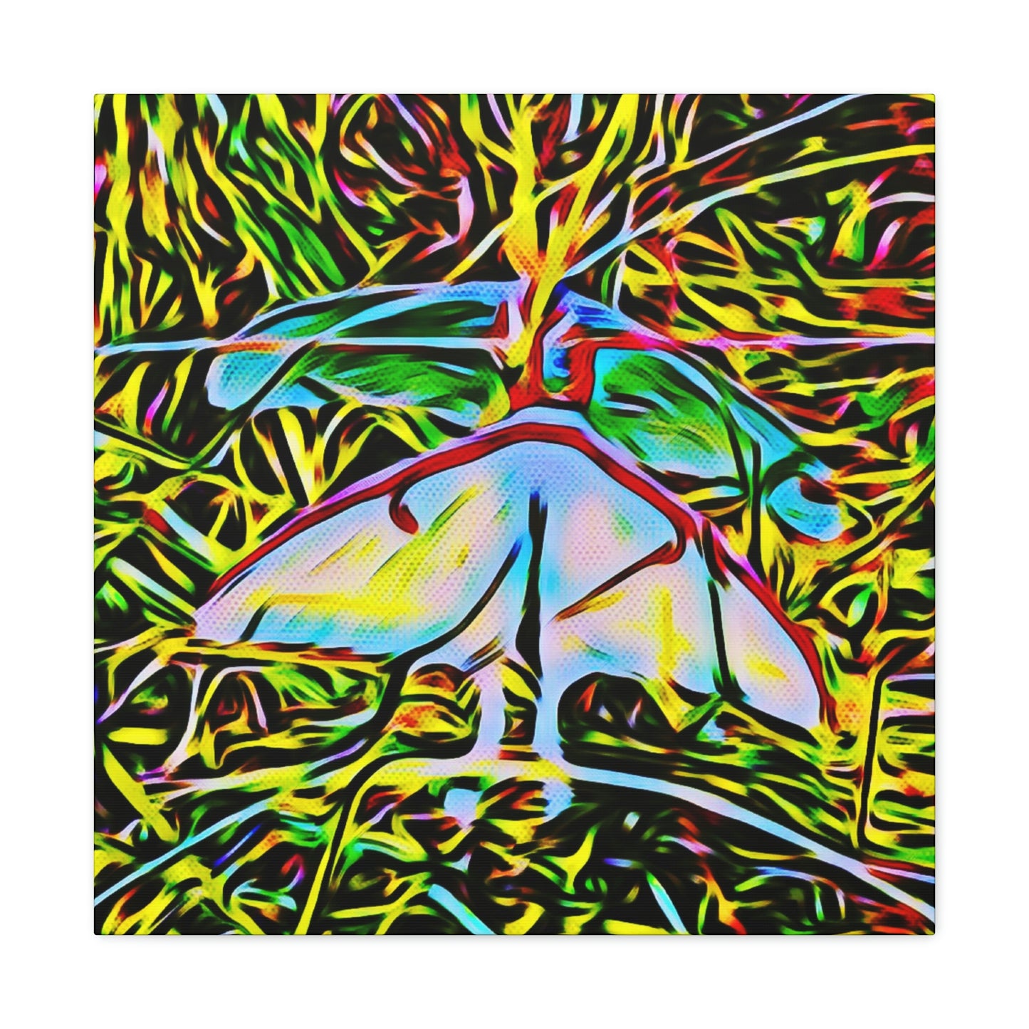 Luna Moths Canvas Gallery Wraps