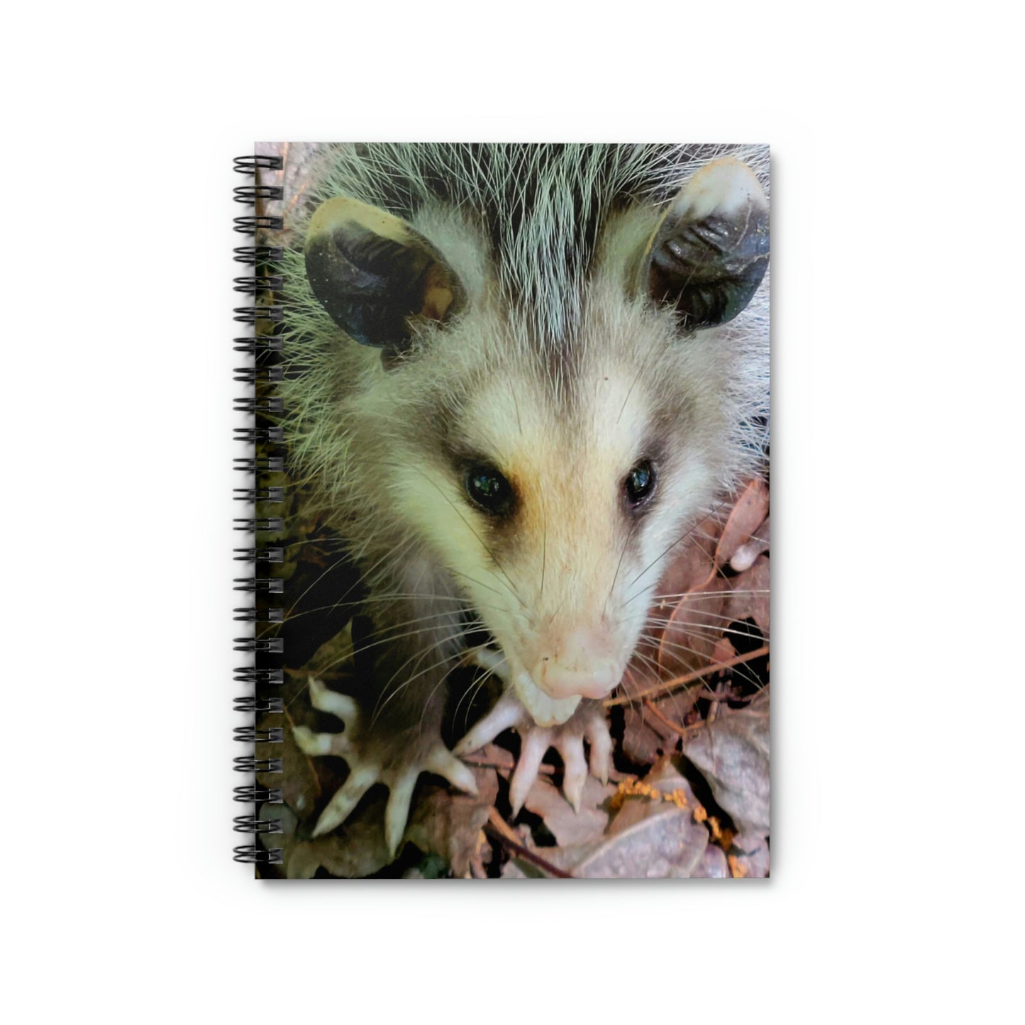 Opossum Spiral Notebook