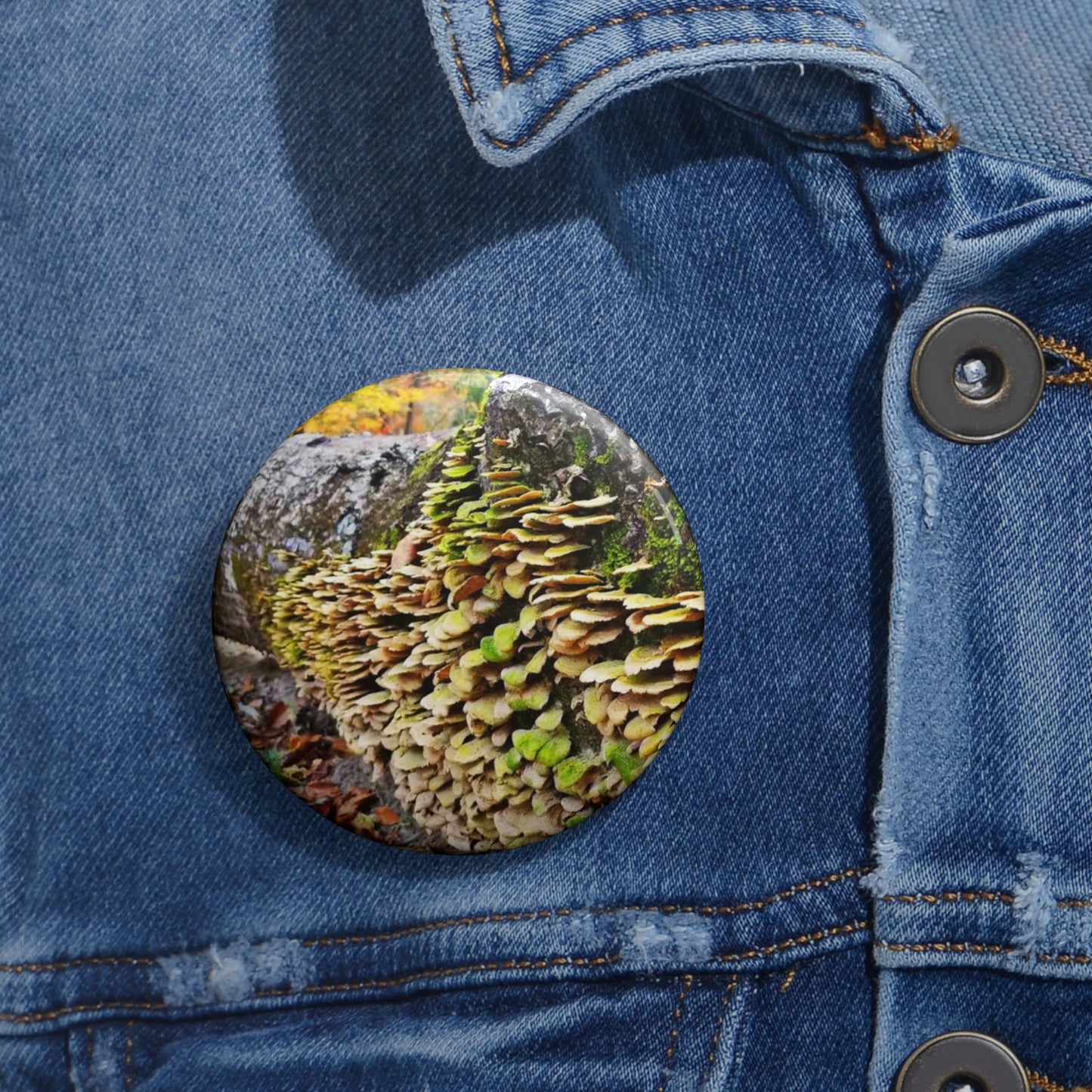 Fungi Buttons