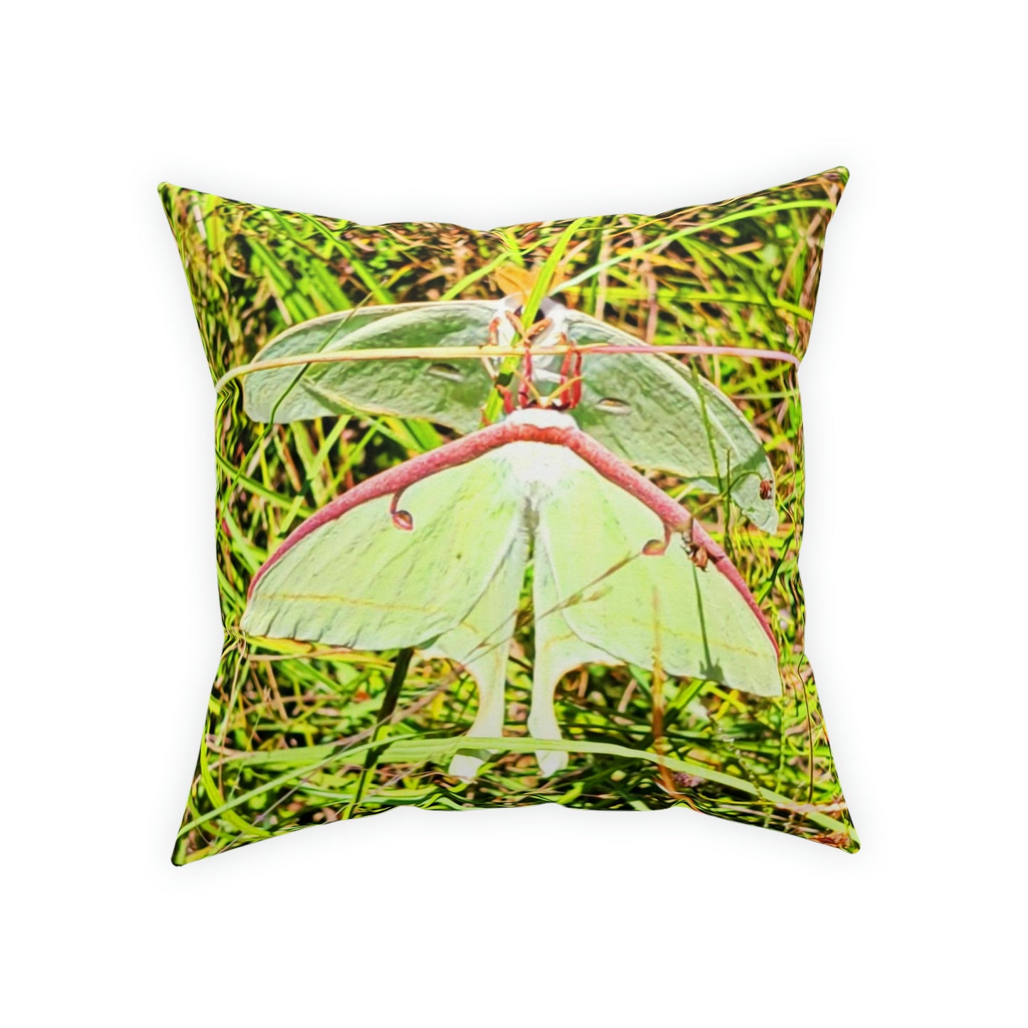 Luna Moths Broadcloth Pillow