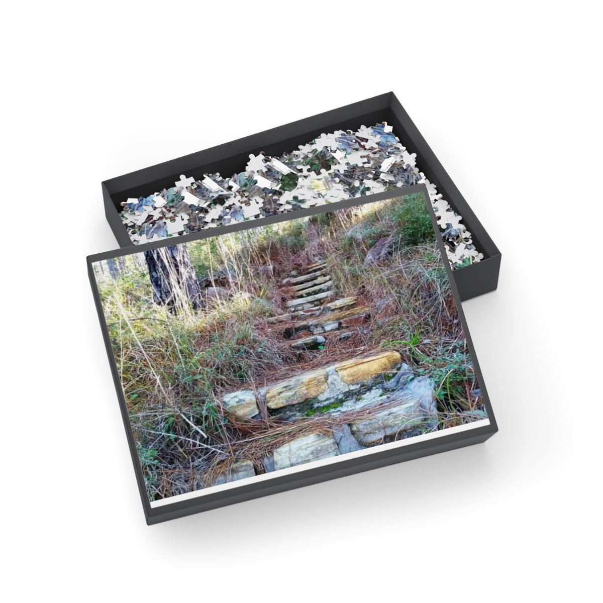 Longleaf Vista Trail Puzzle (4 Sizes)