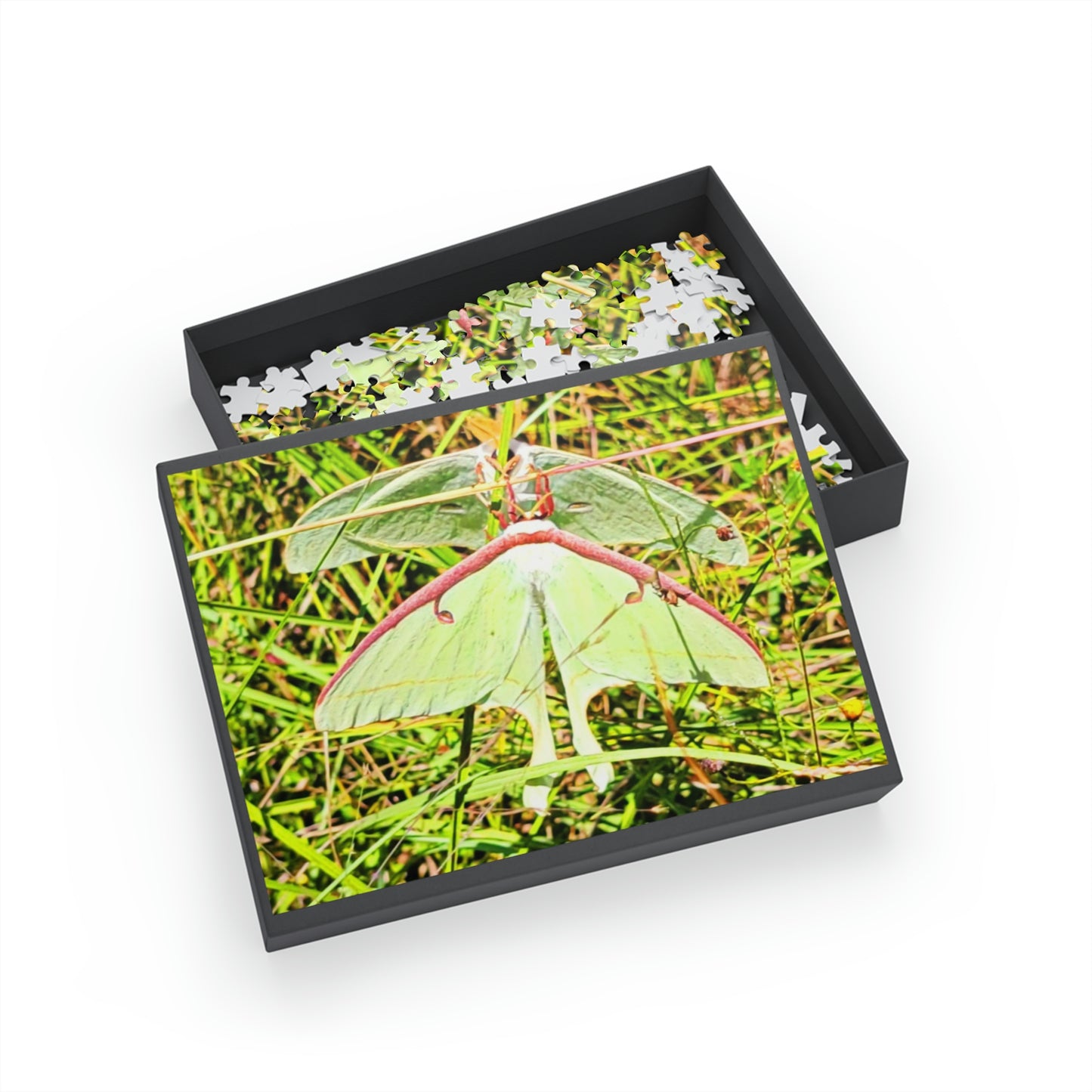 Luna Moths Puzzles