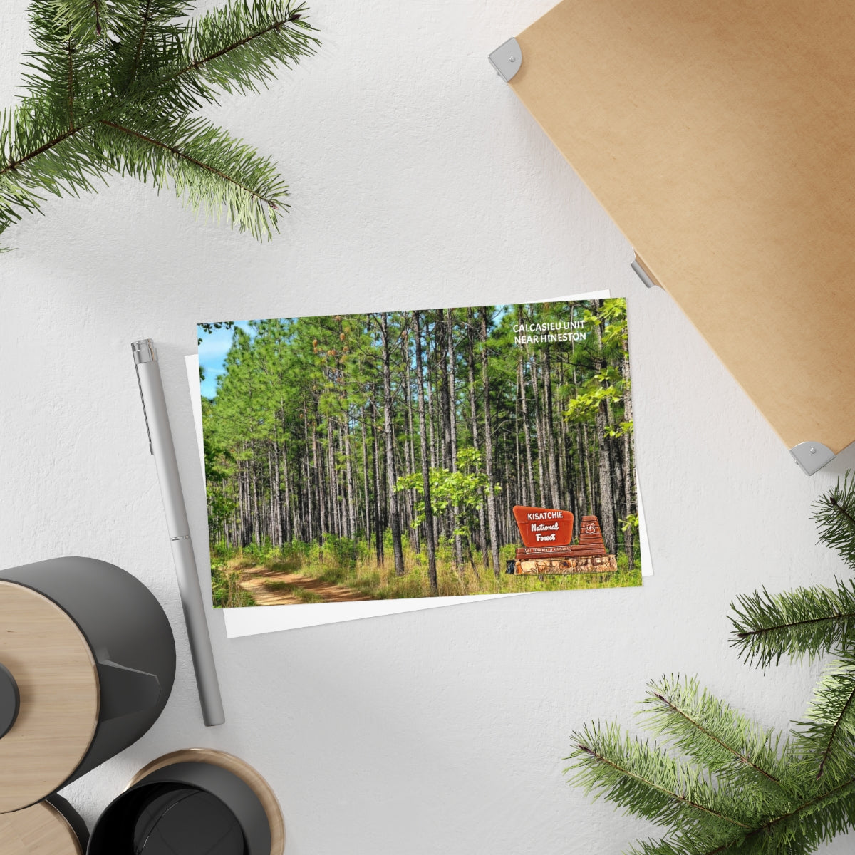 Kisatchie Pines Postcards (10pcs)