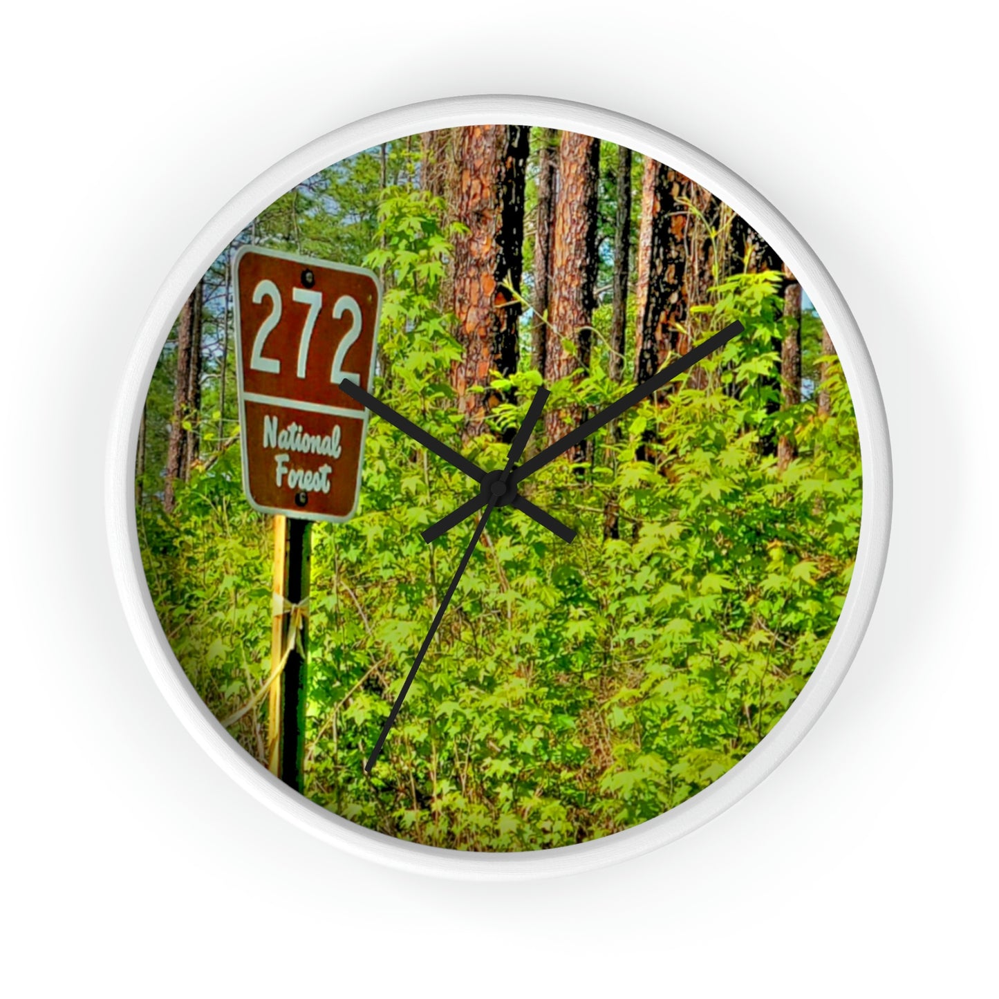 Kisatchie National Forest Wall Clocks