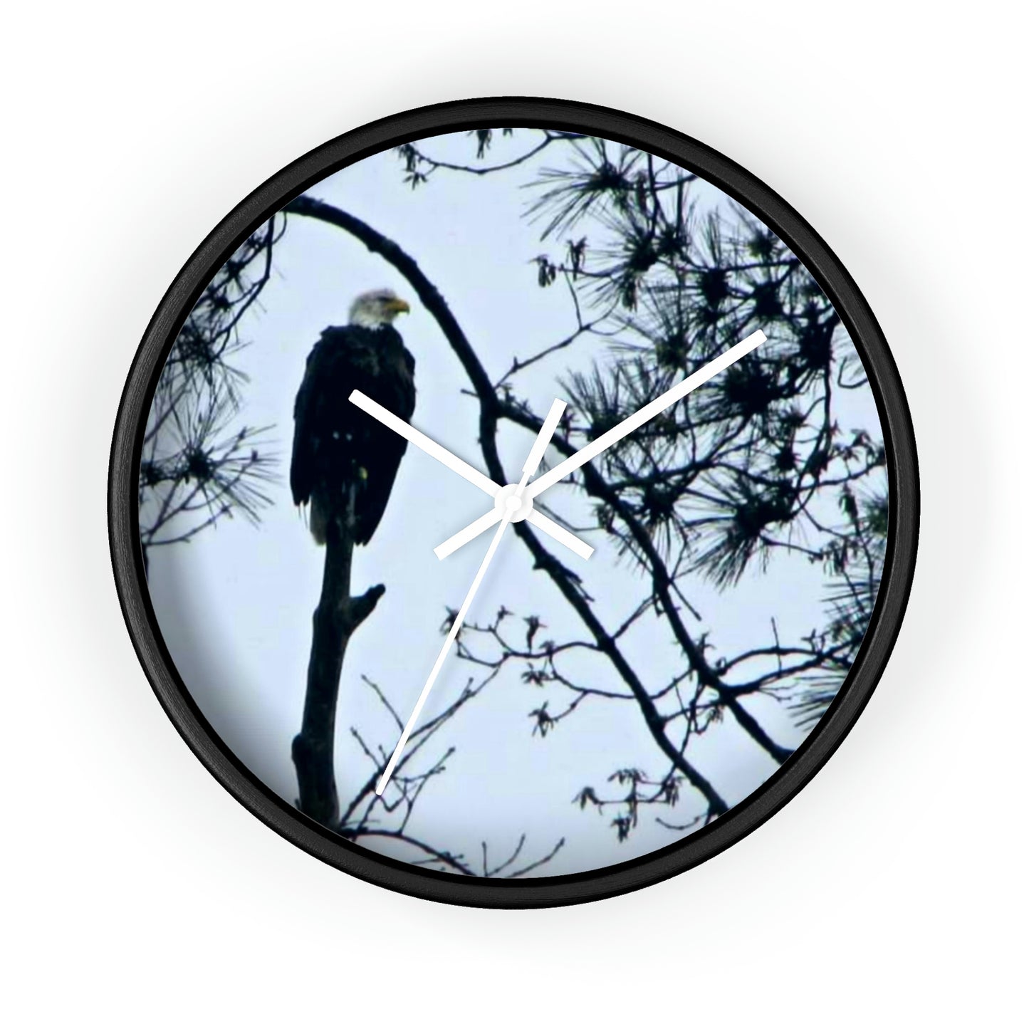 Guardian of the Kisatchie Wall Clocks