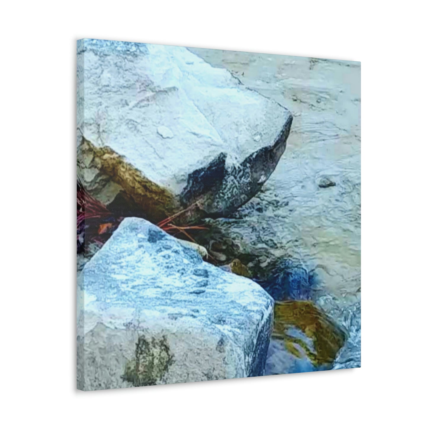 Kisatchie Bayou Rocks Canvas Gallery Wraps