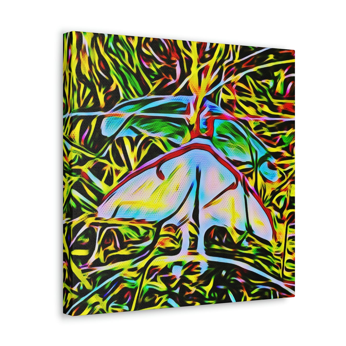 Luna Moths Canvas Gallery Wraps